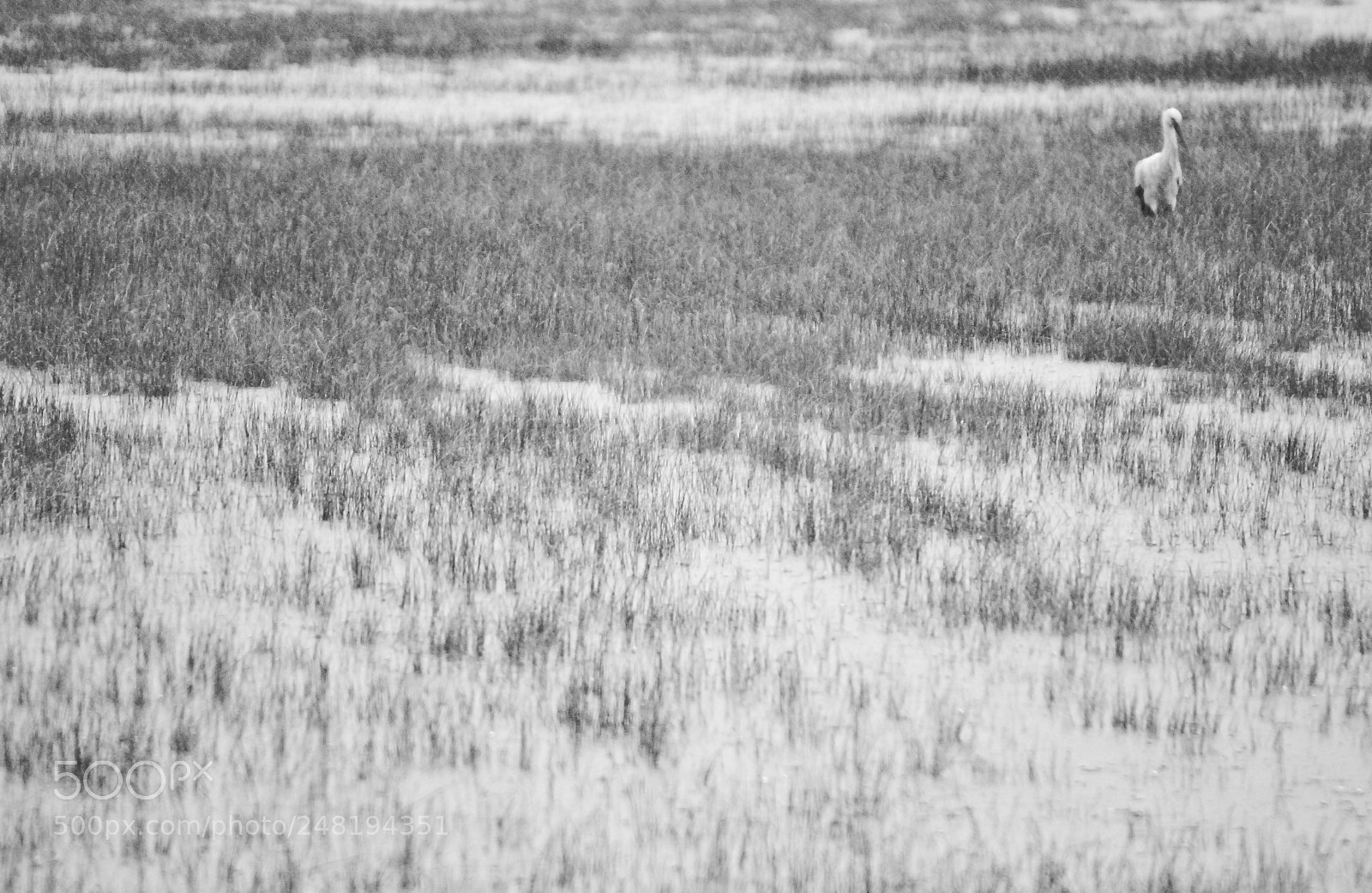 Nikon D3000 sample photo. Untitled photography