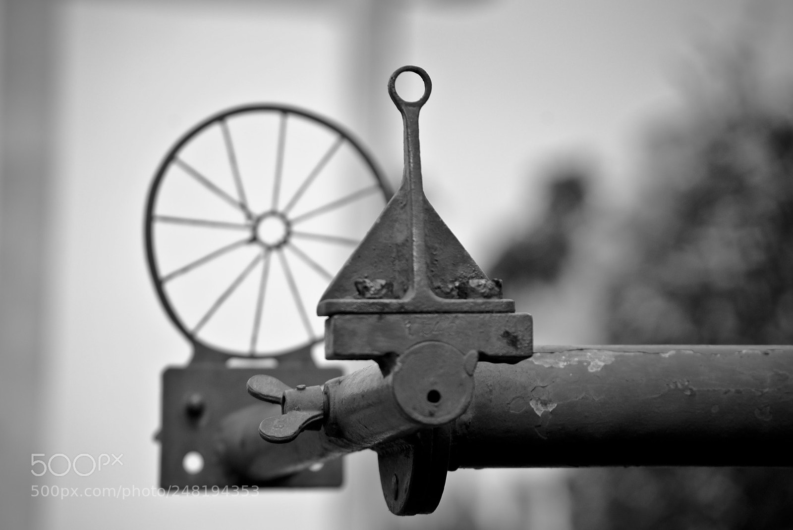 Nikon D3000 sample photo. Untitled photography