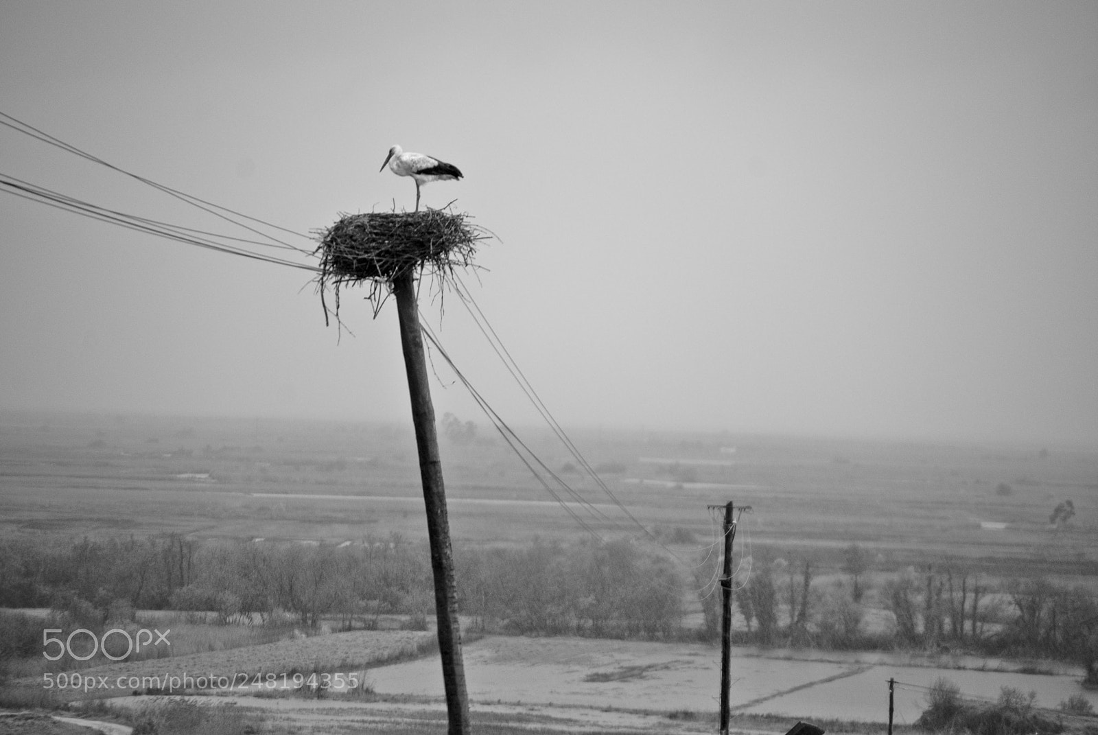 Nikon D3000 sample photo. Untitled photography