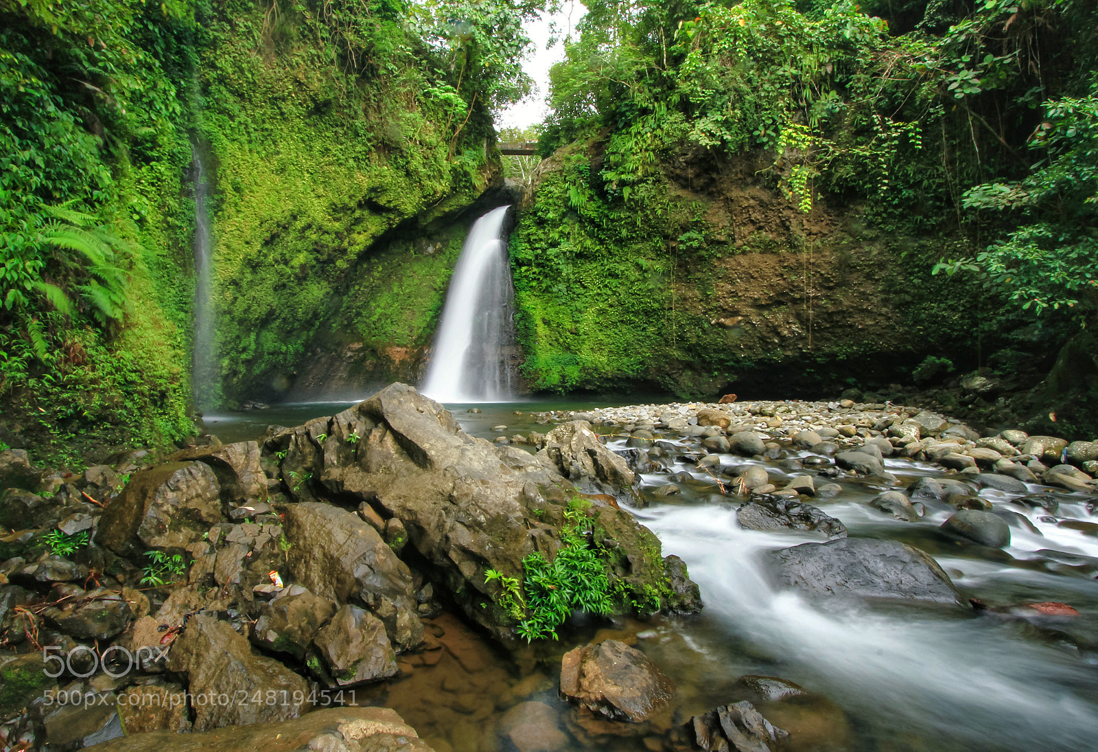Canon EOS 7D sample photo. Parak siring kemumu photography