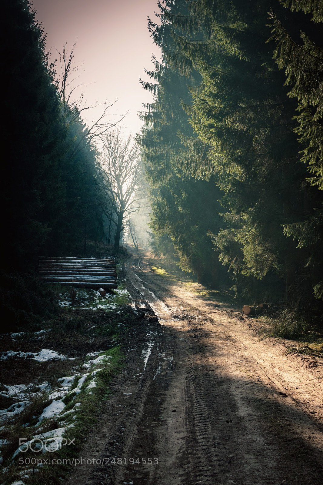 Nikon D5300 sample photo. Opposite lines photography