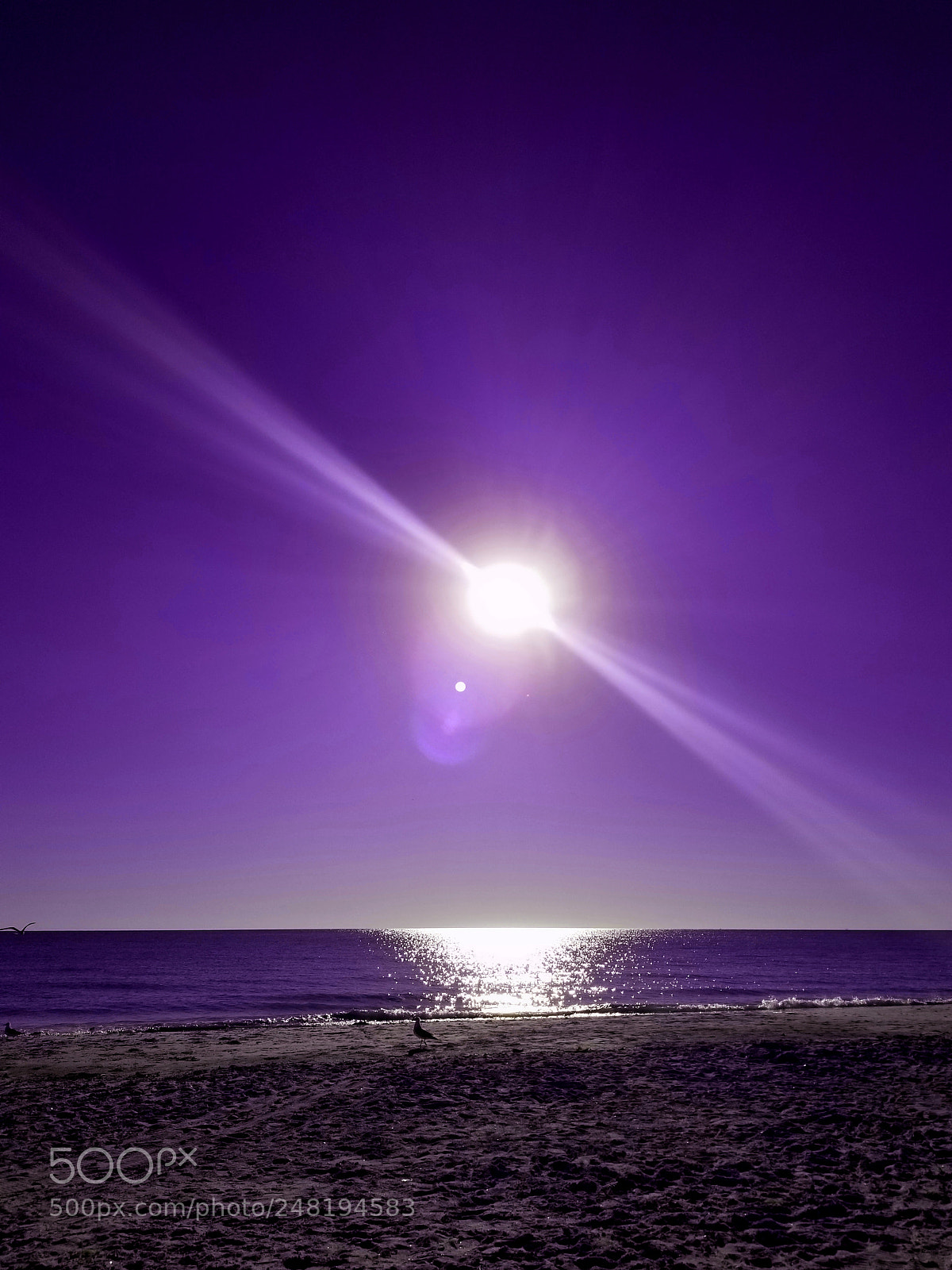Samsung Galaxy S8+ sample photo. Sunset purple photography