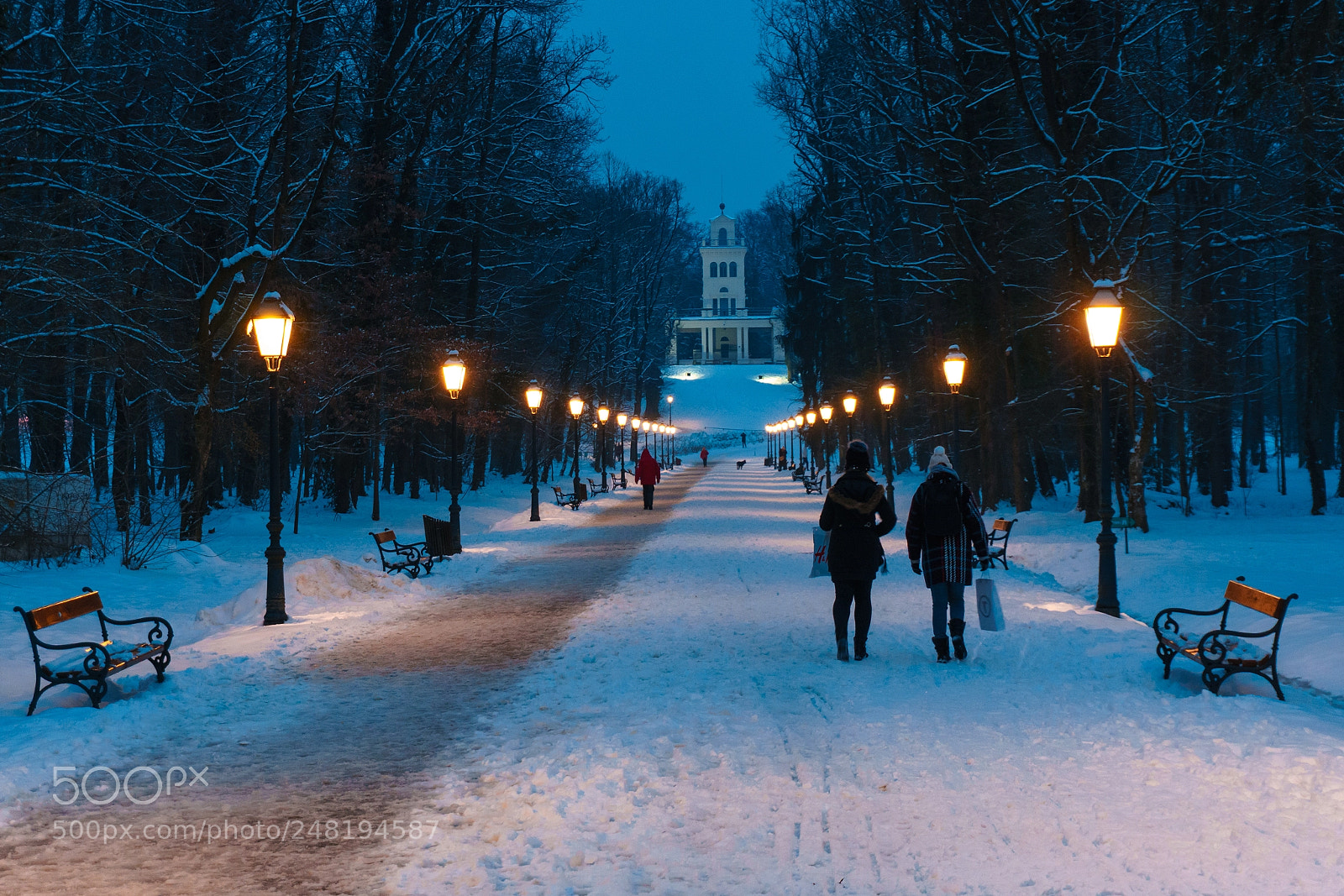 Sony a6300 sample photo. Winter maskimir - zagreb photography