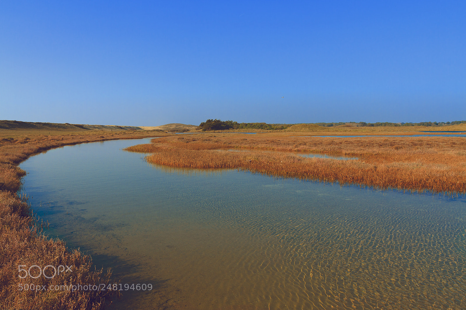 Canon EOS 7D sample photo. Salt marshes photography