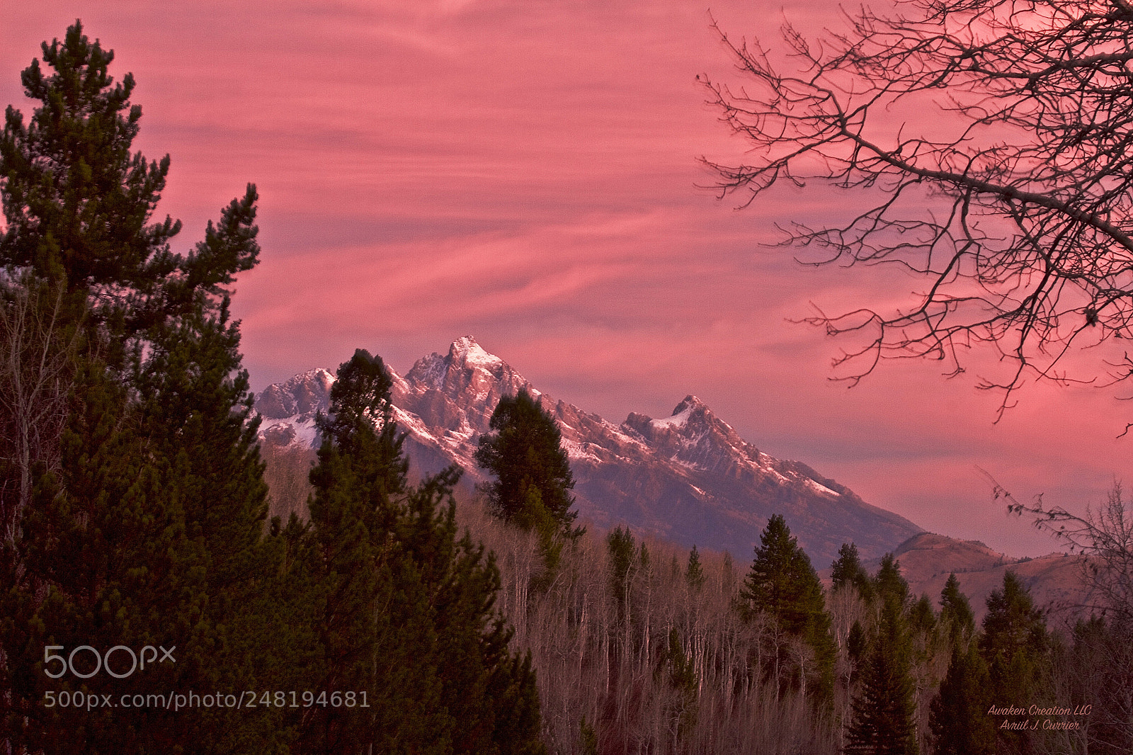 Canon EOS 7D sample photo. Pink sunrise photography