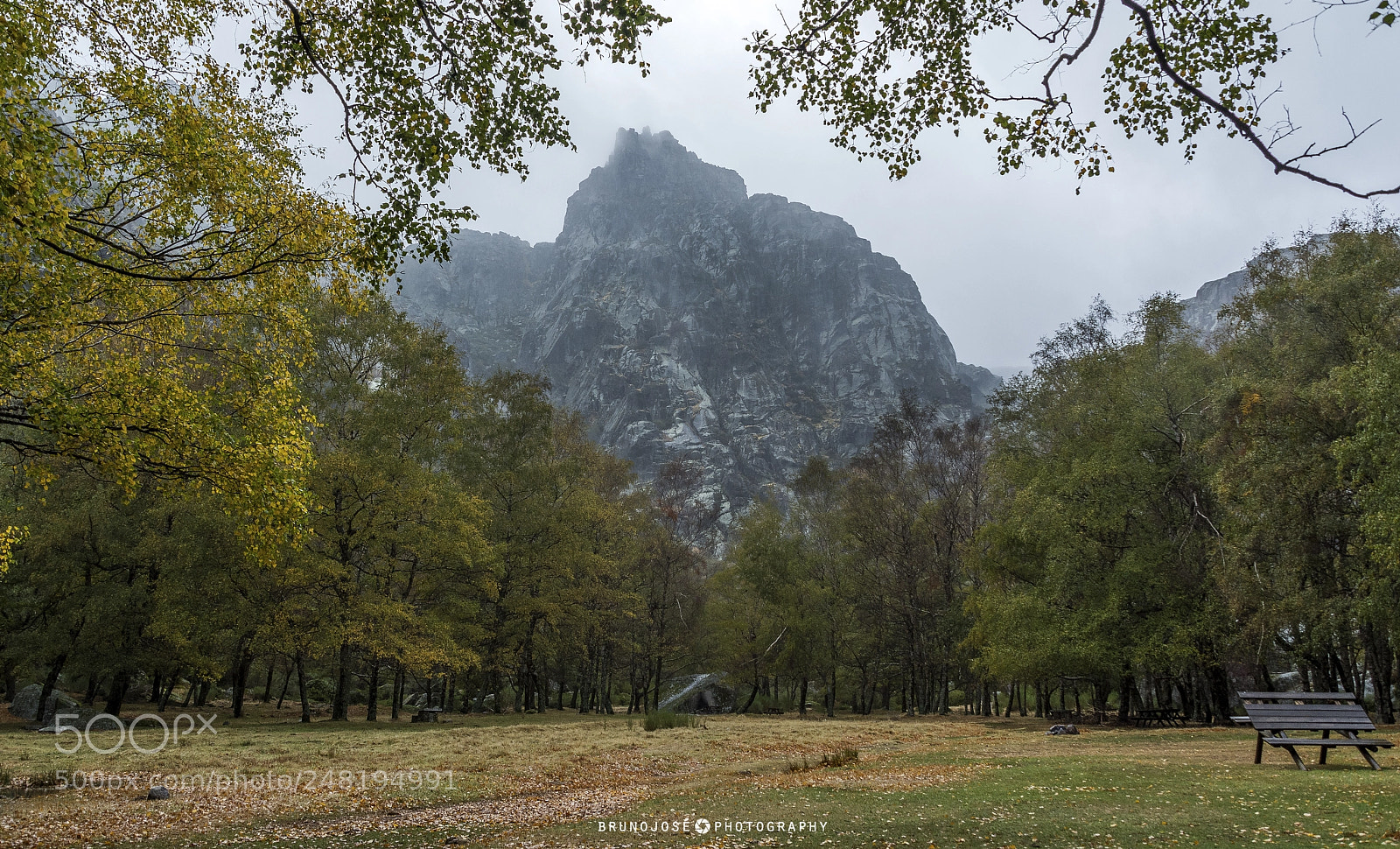 Nikon D5200 sample photo. Nature serra da estrela photography