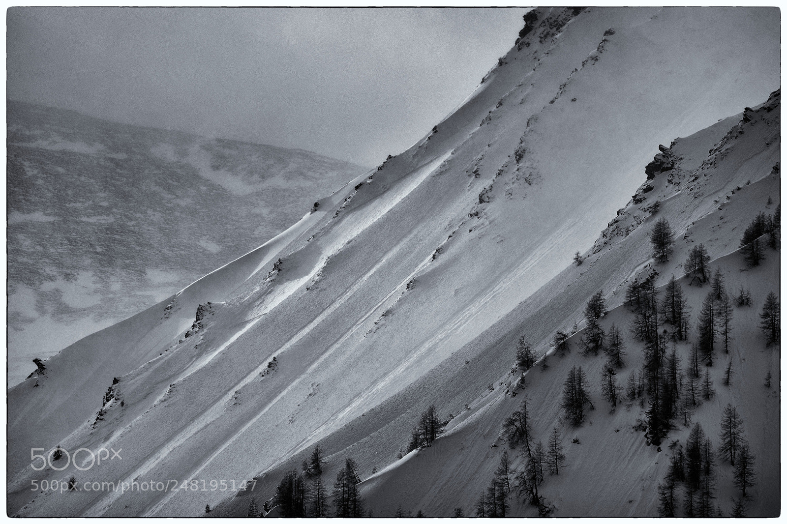 Nikon D500 sample photo. White slopes #2 photography