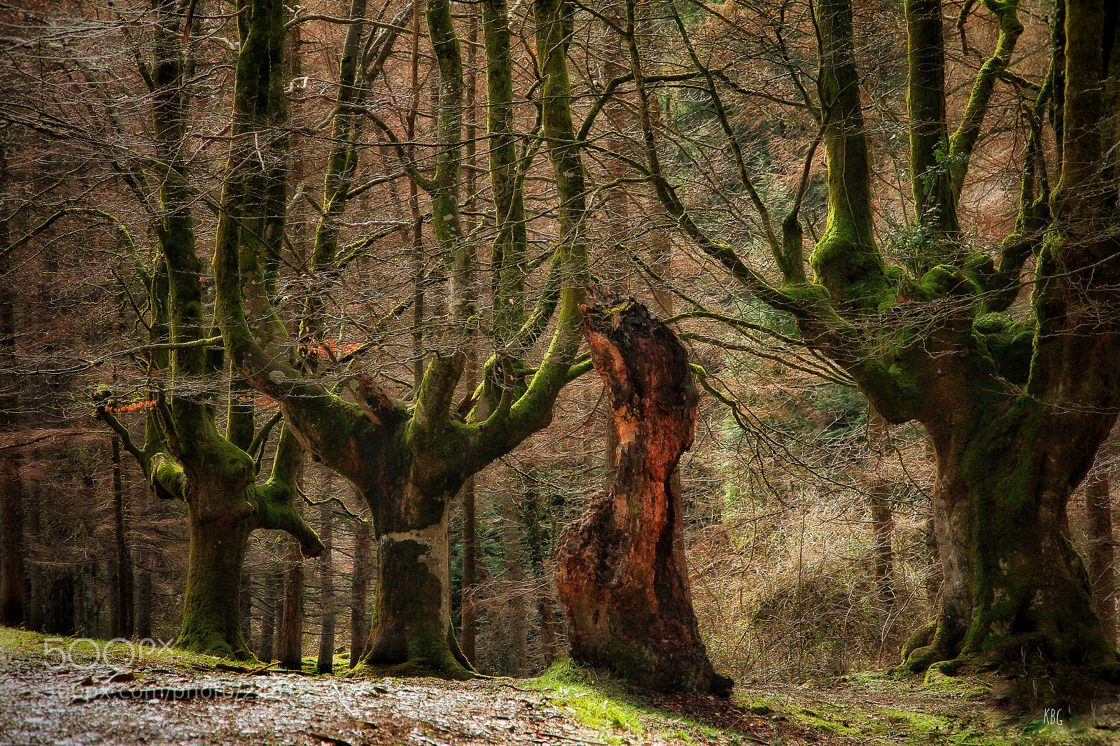 Canon EOS 7D sample photo. Cuento de hadas... photography