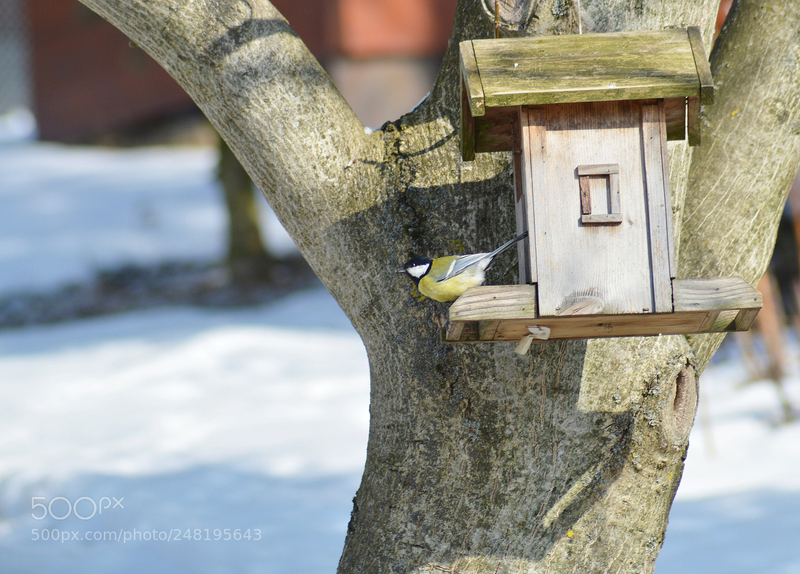 Nikon D3200 sample photo. Untitled photography