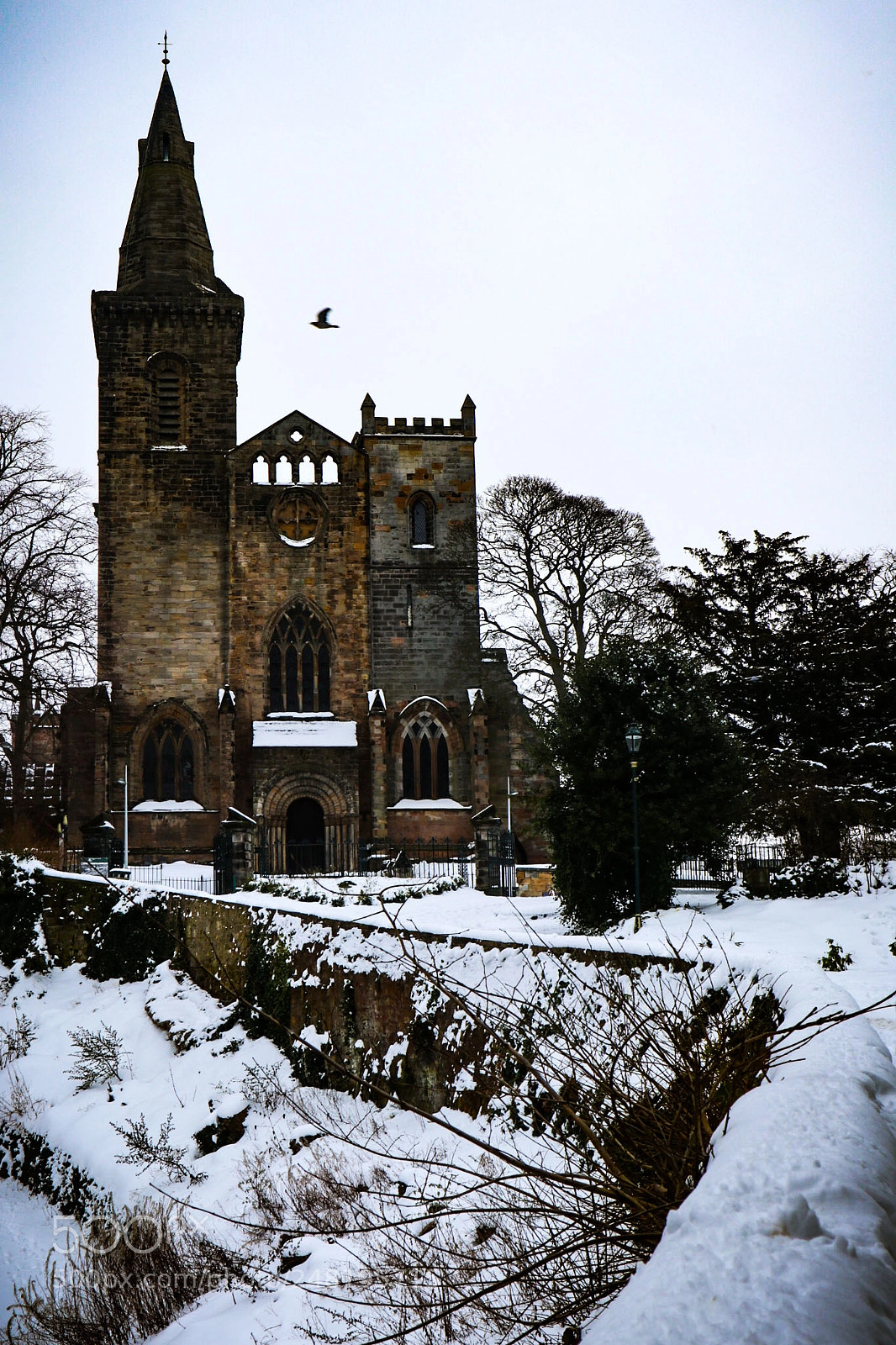 Canon EOS M6 sample photo. Dunfermline abbey photography