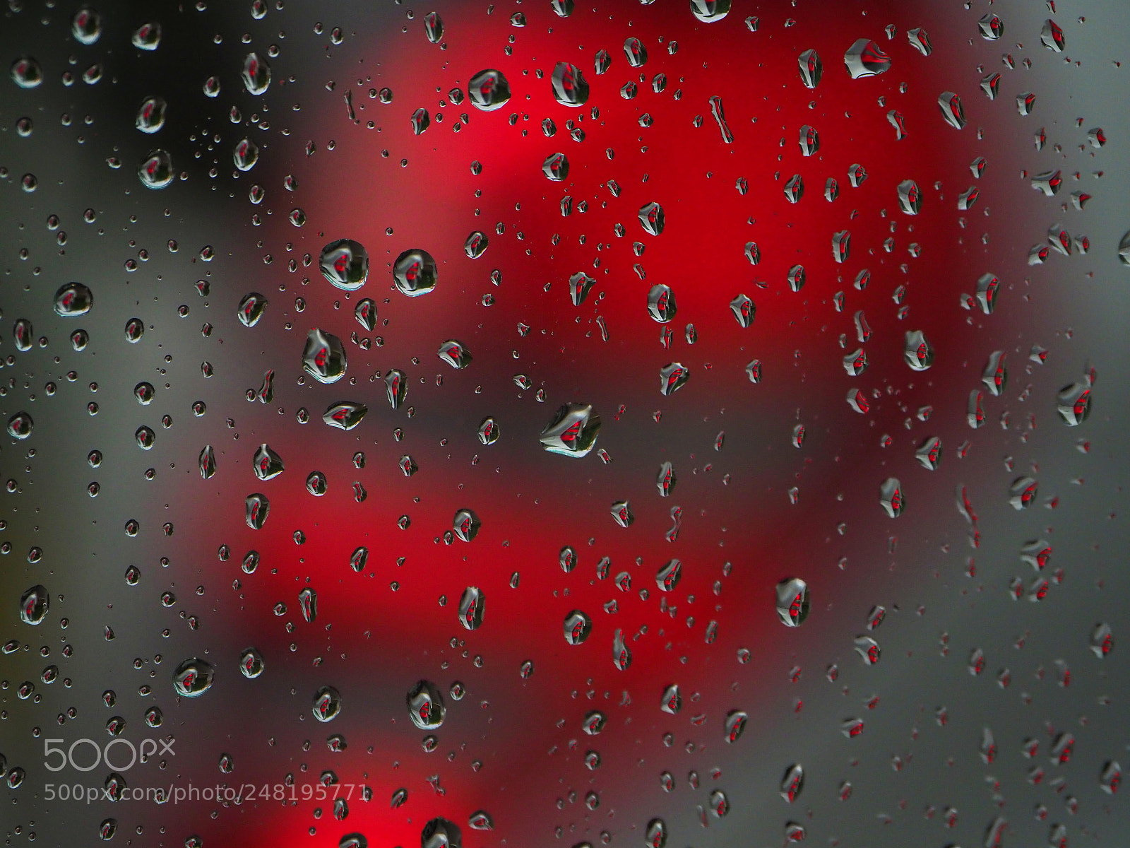 Olympus OM-D E-M1 Mark II sample photo. Tail light in rain photography