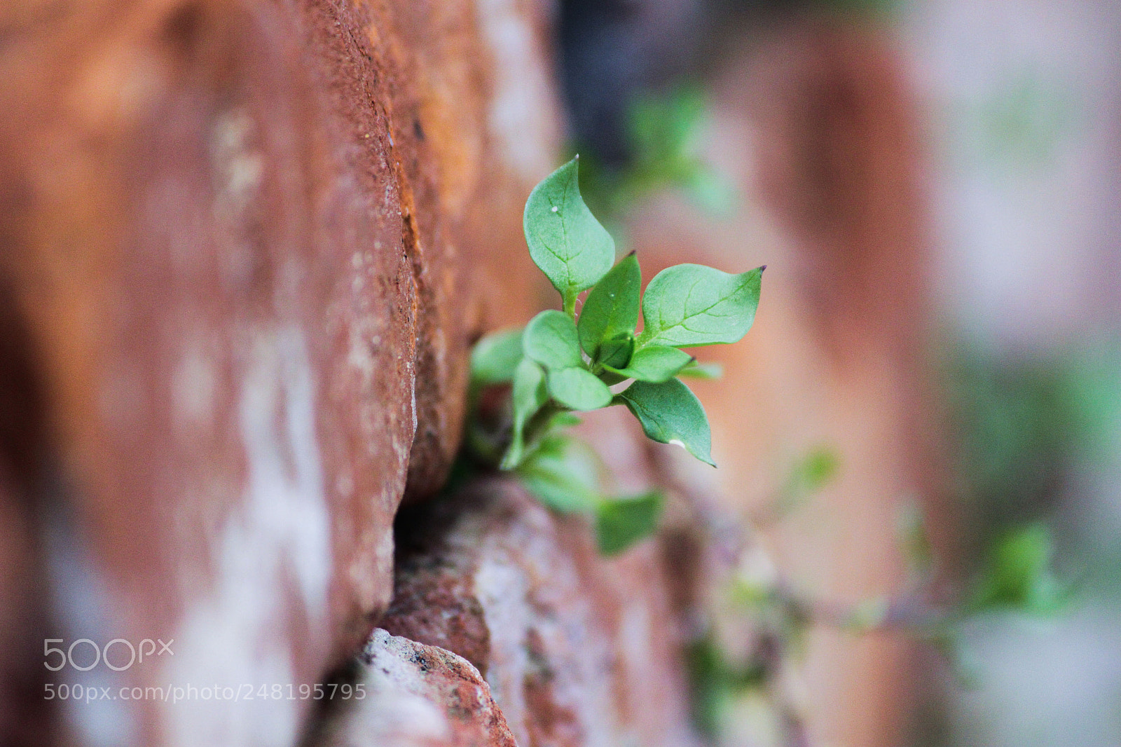 Canon EOS 7D sample photo. Untitled photography