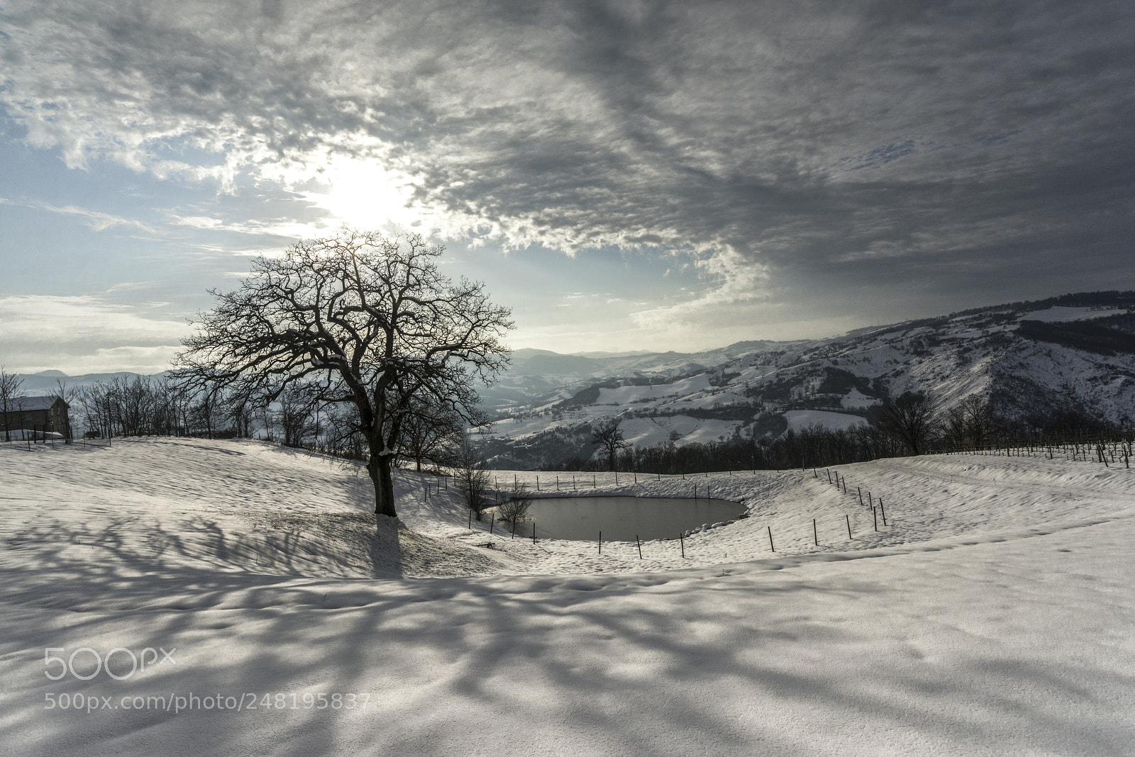 Sony a7R sample photo. Winter 2 photography