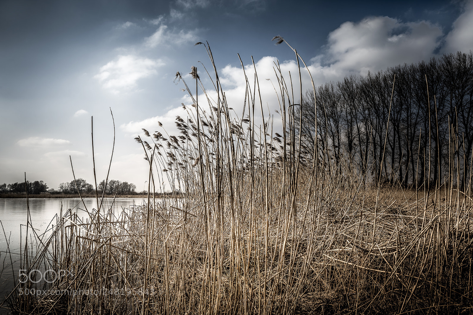 Nikon D810 sample photo. Winter landscape photography
