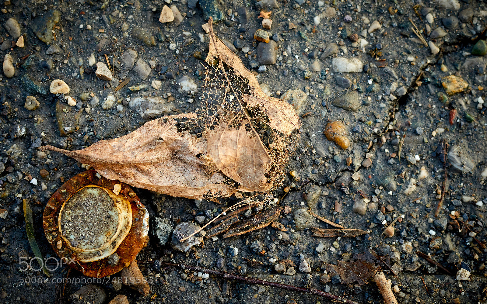 Nikon D810 sample photo. Things on street_2057 photography