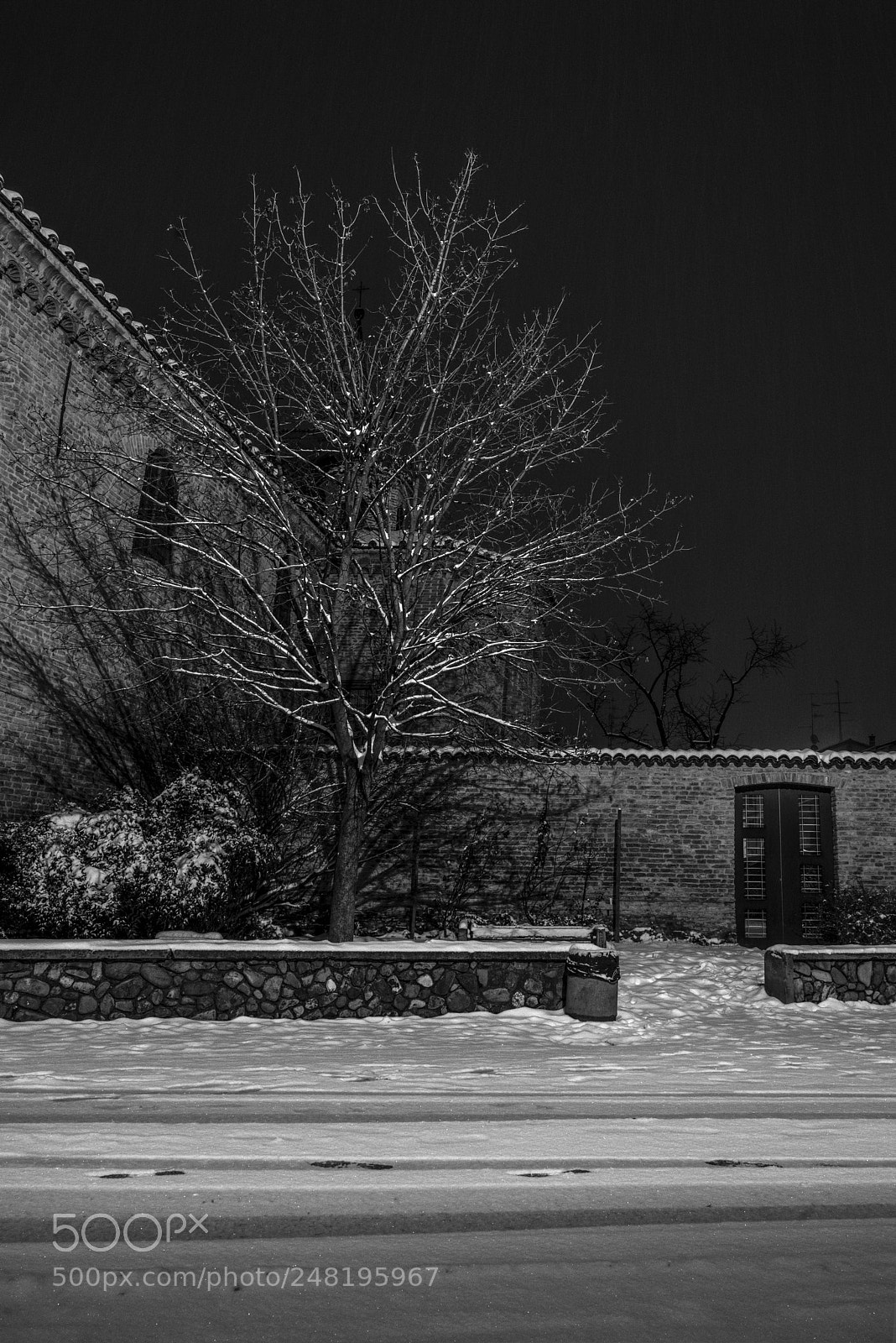Sony a7R sample photo. Winter 5 photography