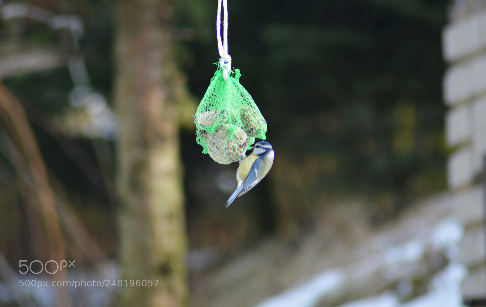 Nikon D3200 sample photo. Untitled photography