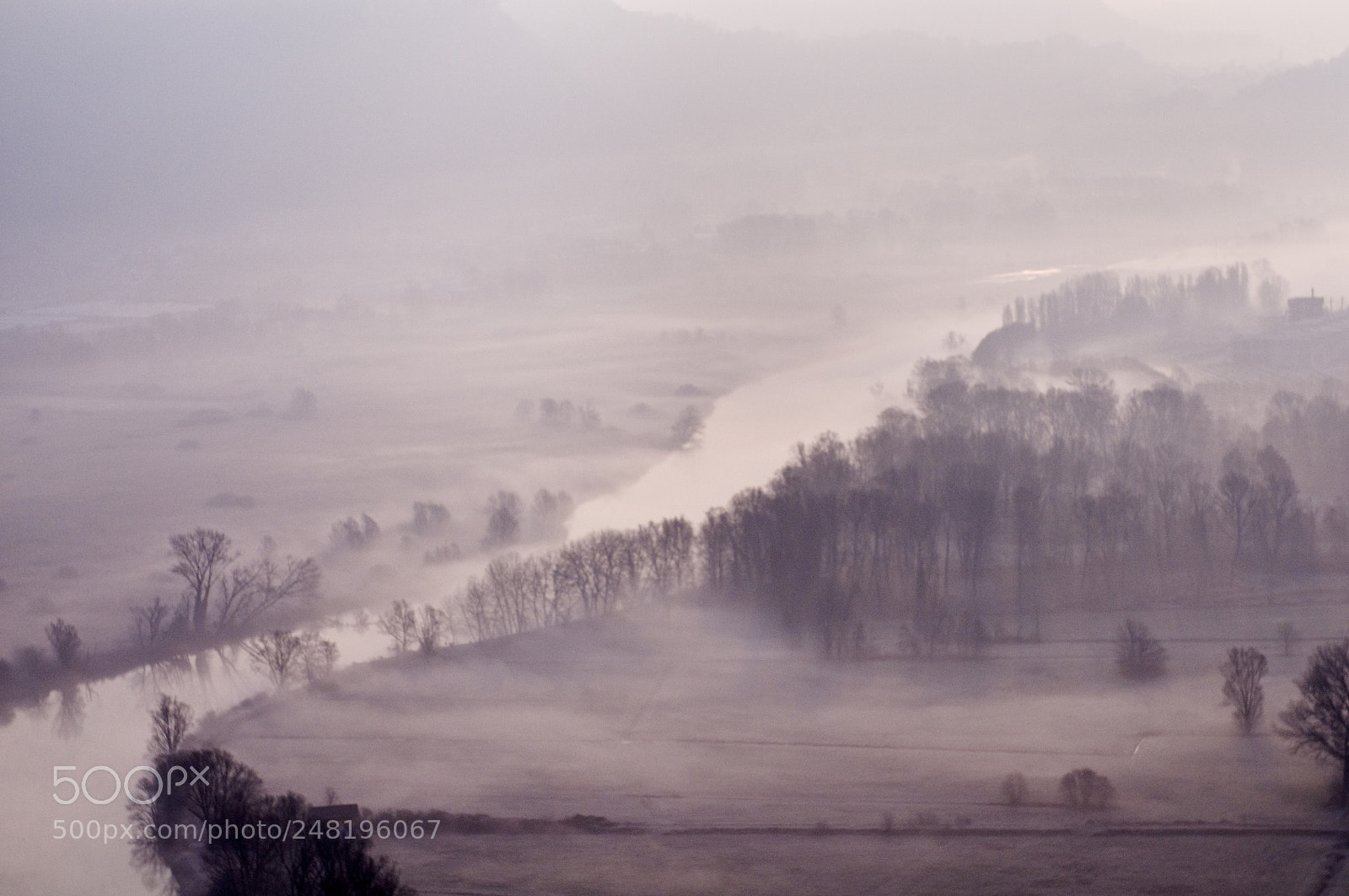 Nikon D300 sample photo. Foggy dawn photography