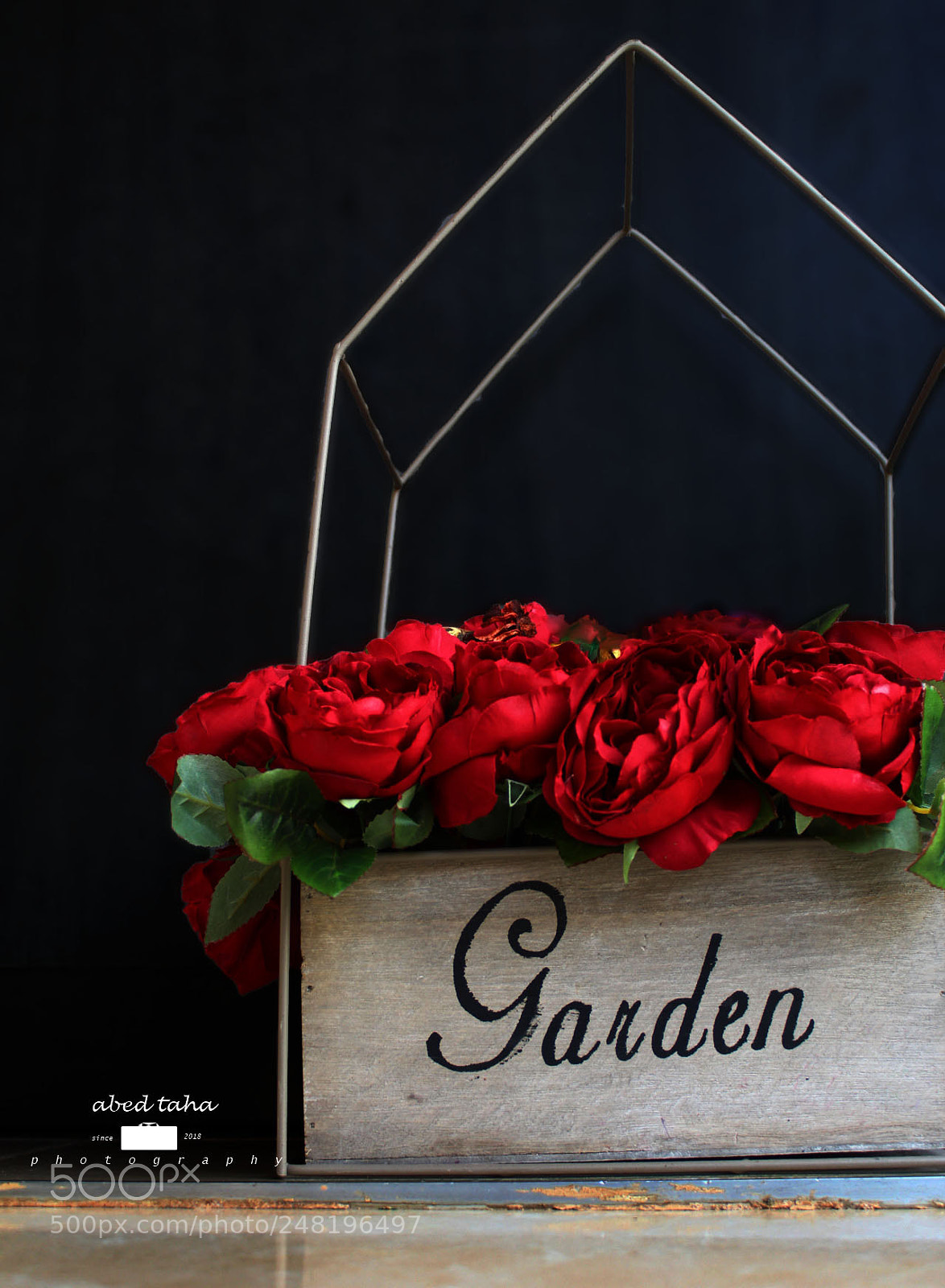 Canon EOS 1300D (EOS Rebel T6 / EOS Kiss X80) sample photo. Romantic pic photography