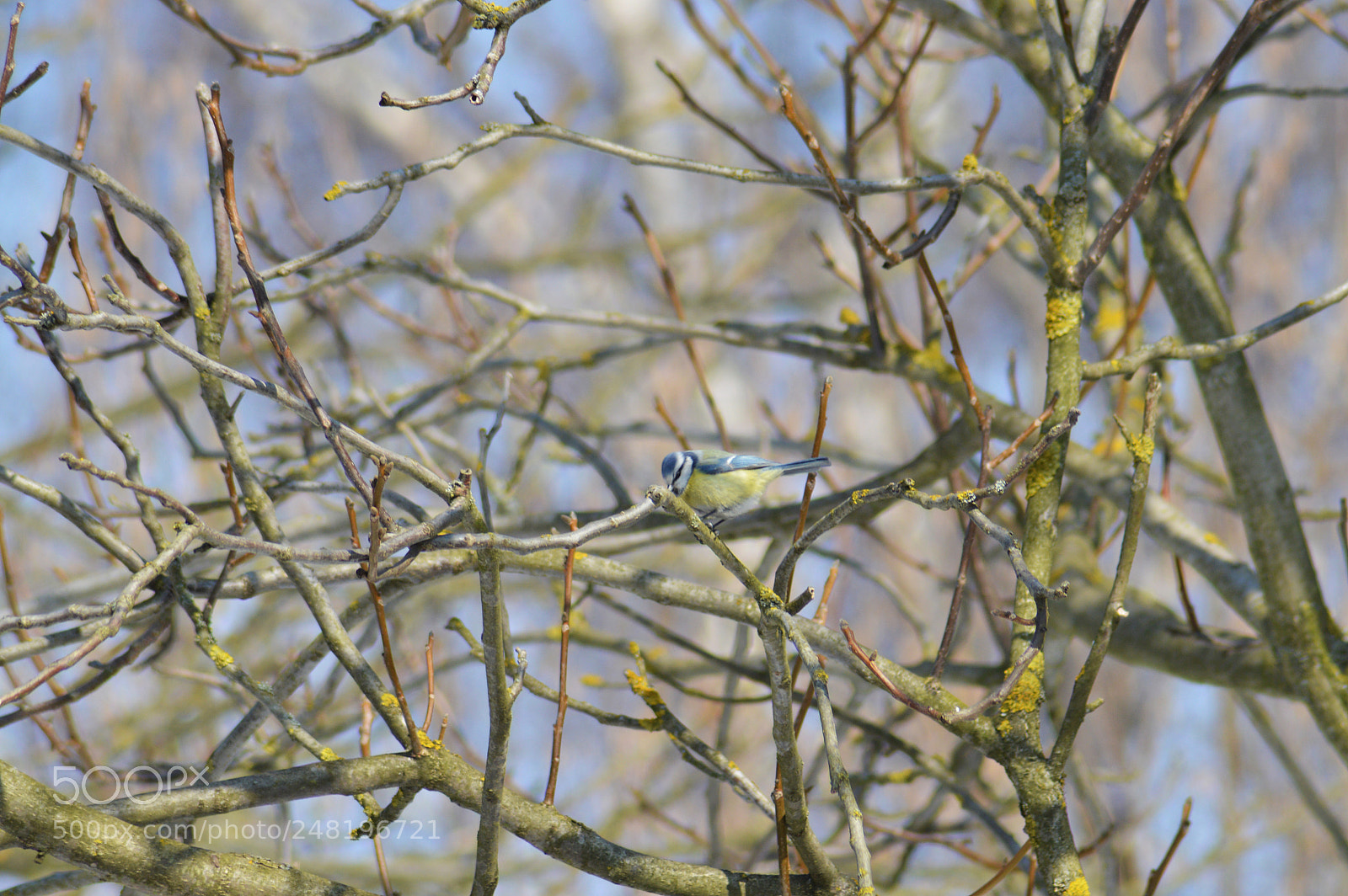 Nikon D3200 sample photo. Untitled photography