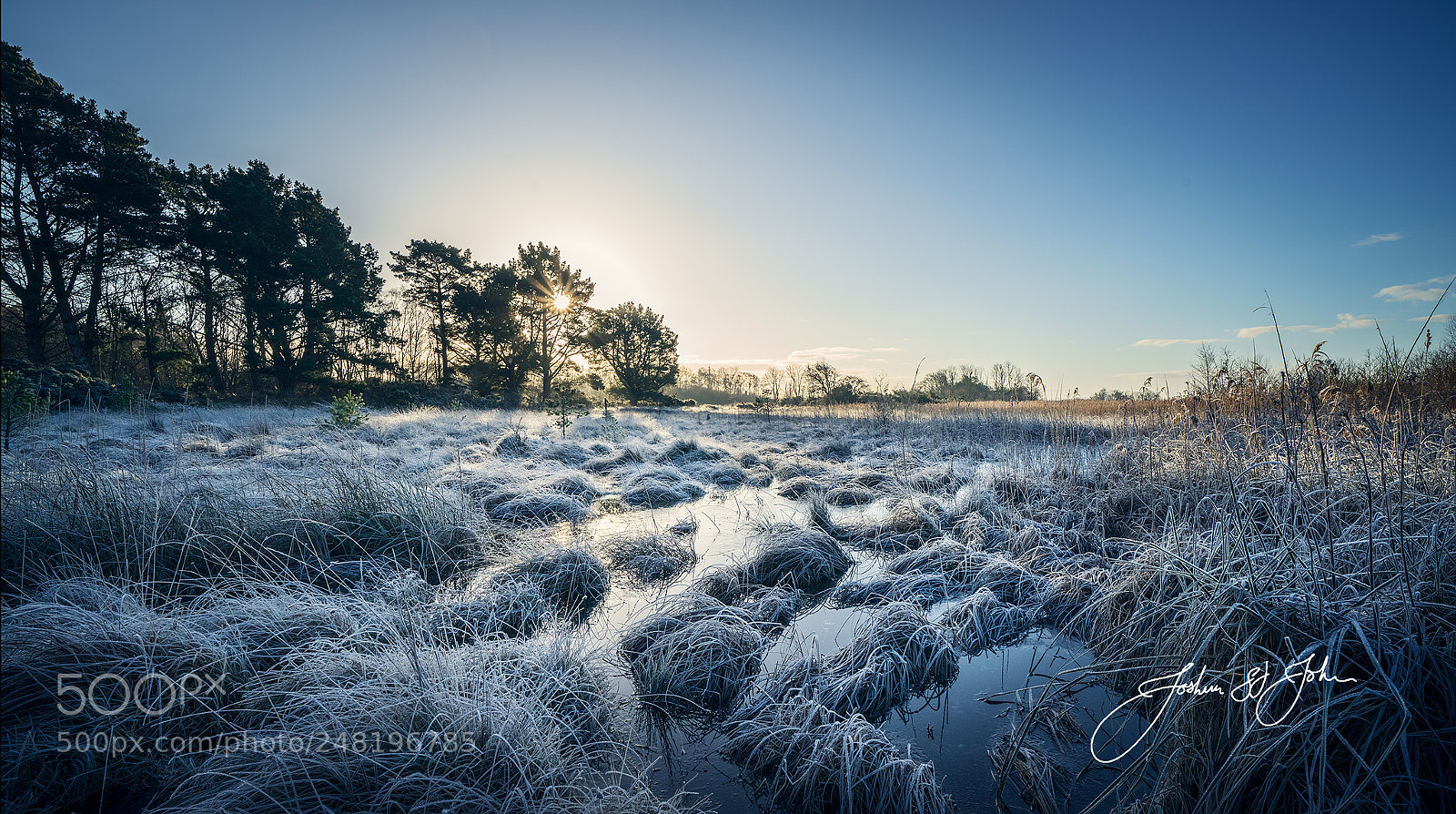 Sony a7R II sample photo. Forrest view snow photography