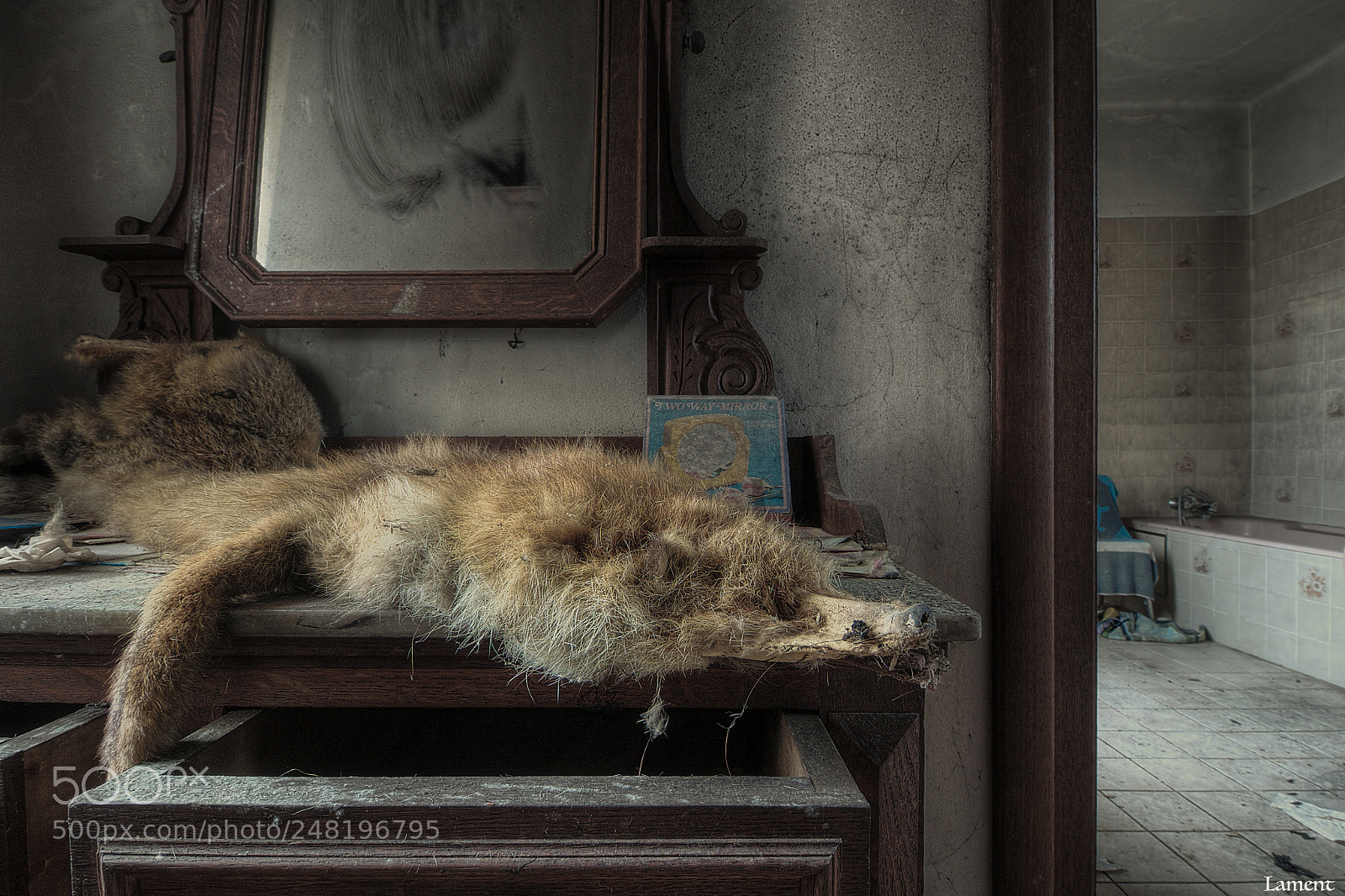 Olympus PEN E-PL7 sample photo. Fox photography