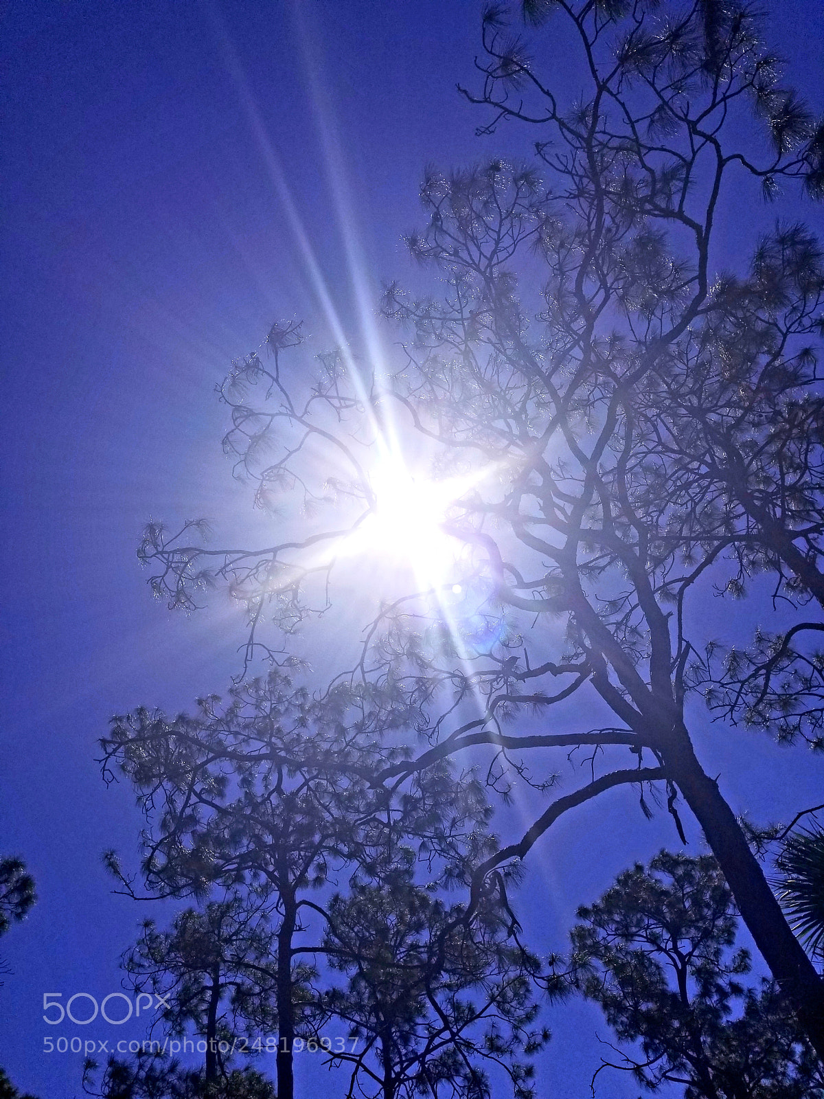 Samsung Galaxy S8+ sample photo. The light photography