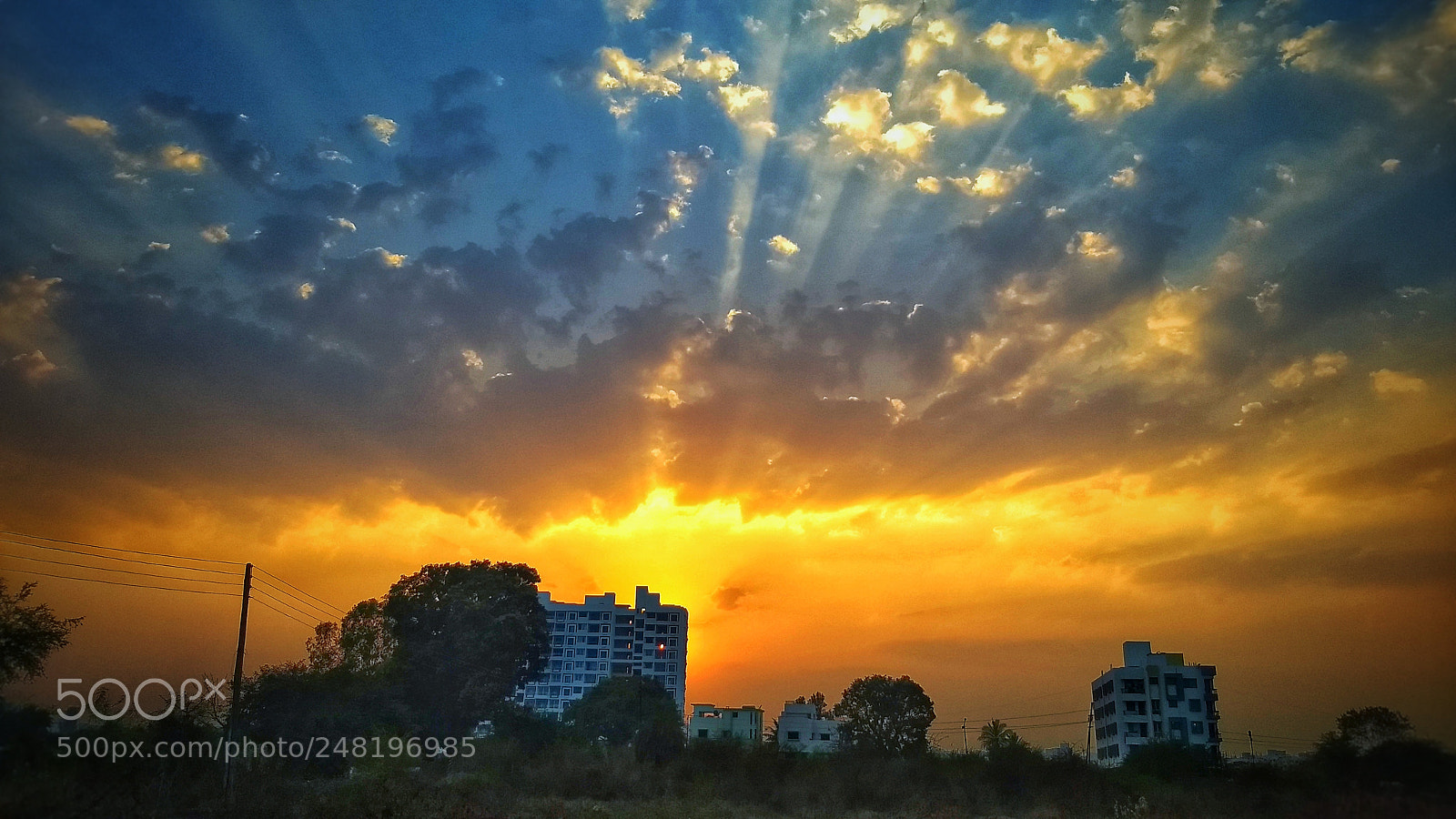 Motorola Moto G (5) Plus sample photo. Colours of nature contrast photography