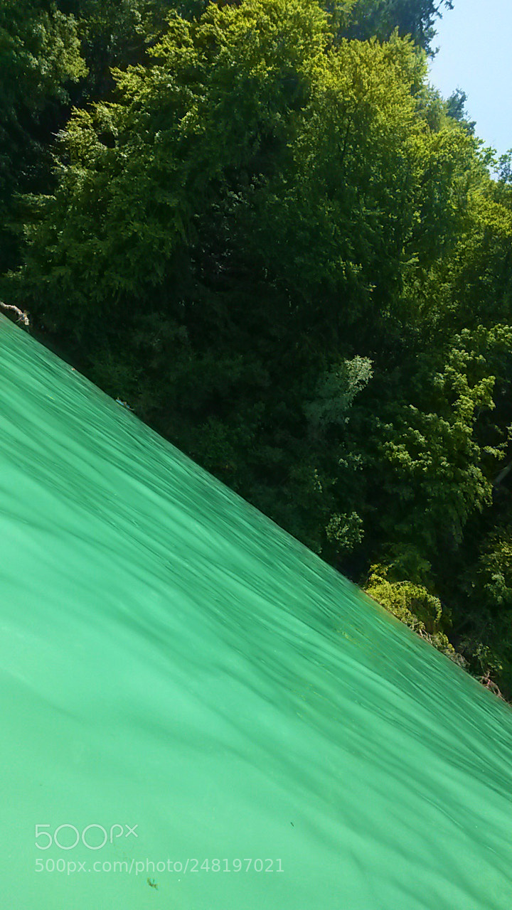 Samsung Galaxy S4 Mini sample photo. Green photography