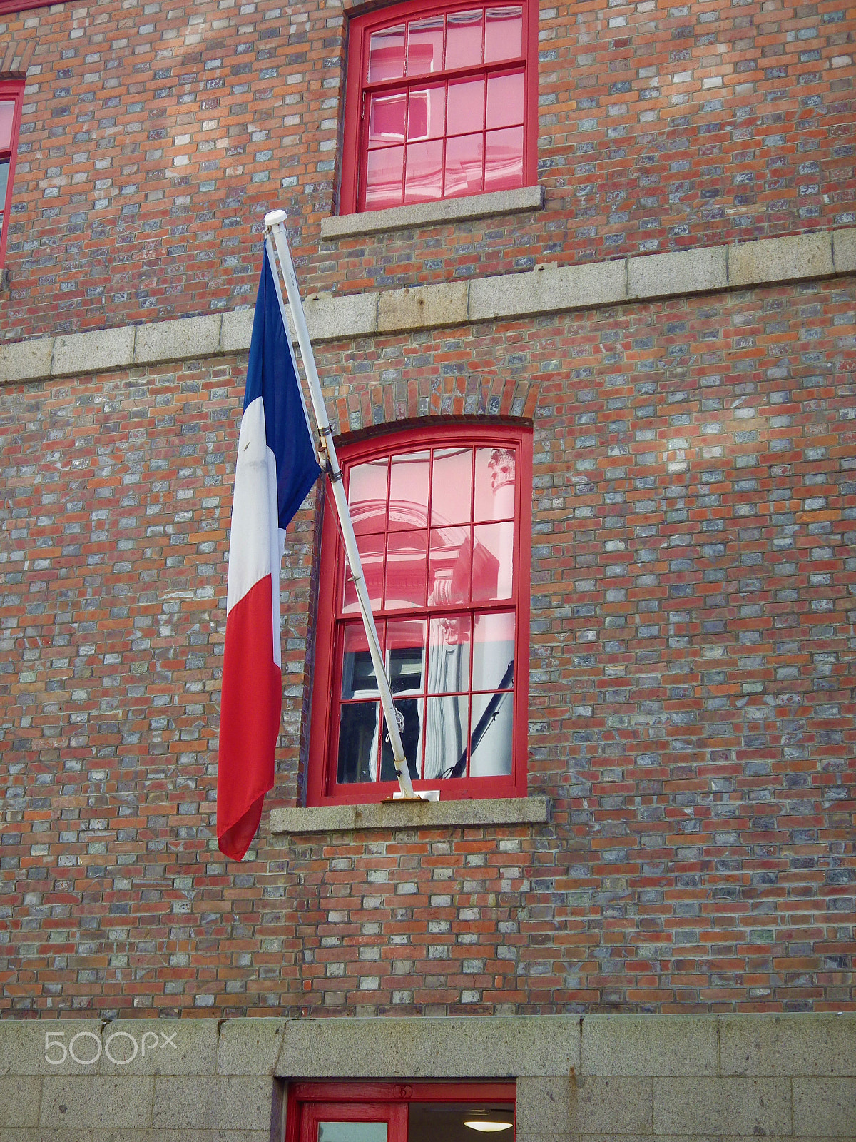 Pentax X-5 sample photo. A tricolour or tricolor photography