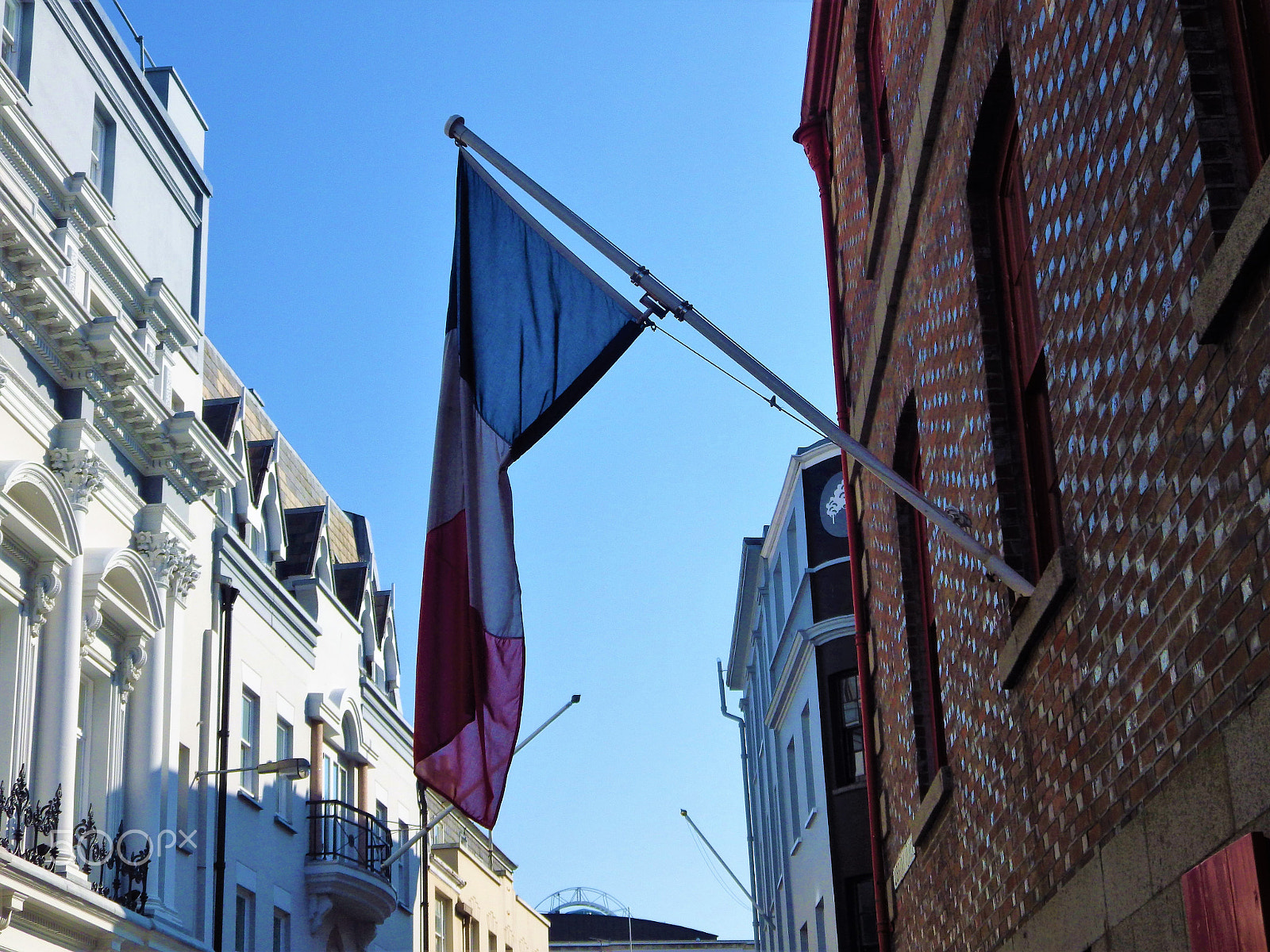 Pentax X-5 sample photo. A tricolour or tricolor photography