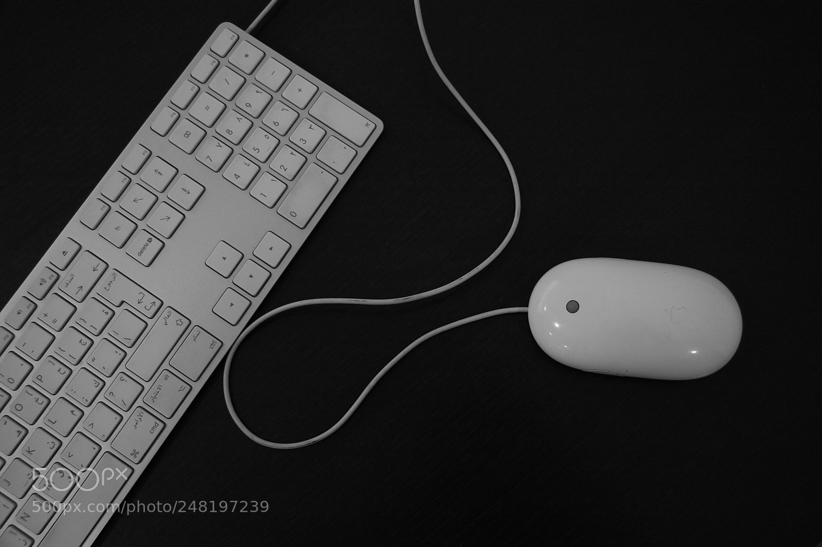 Canon EOS 40D sample photo. Keyboard & mouse photography