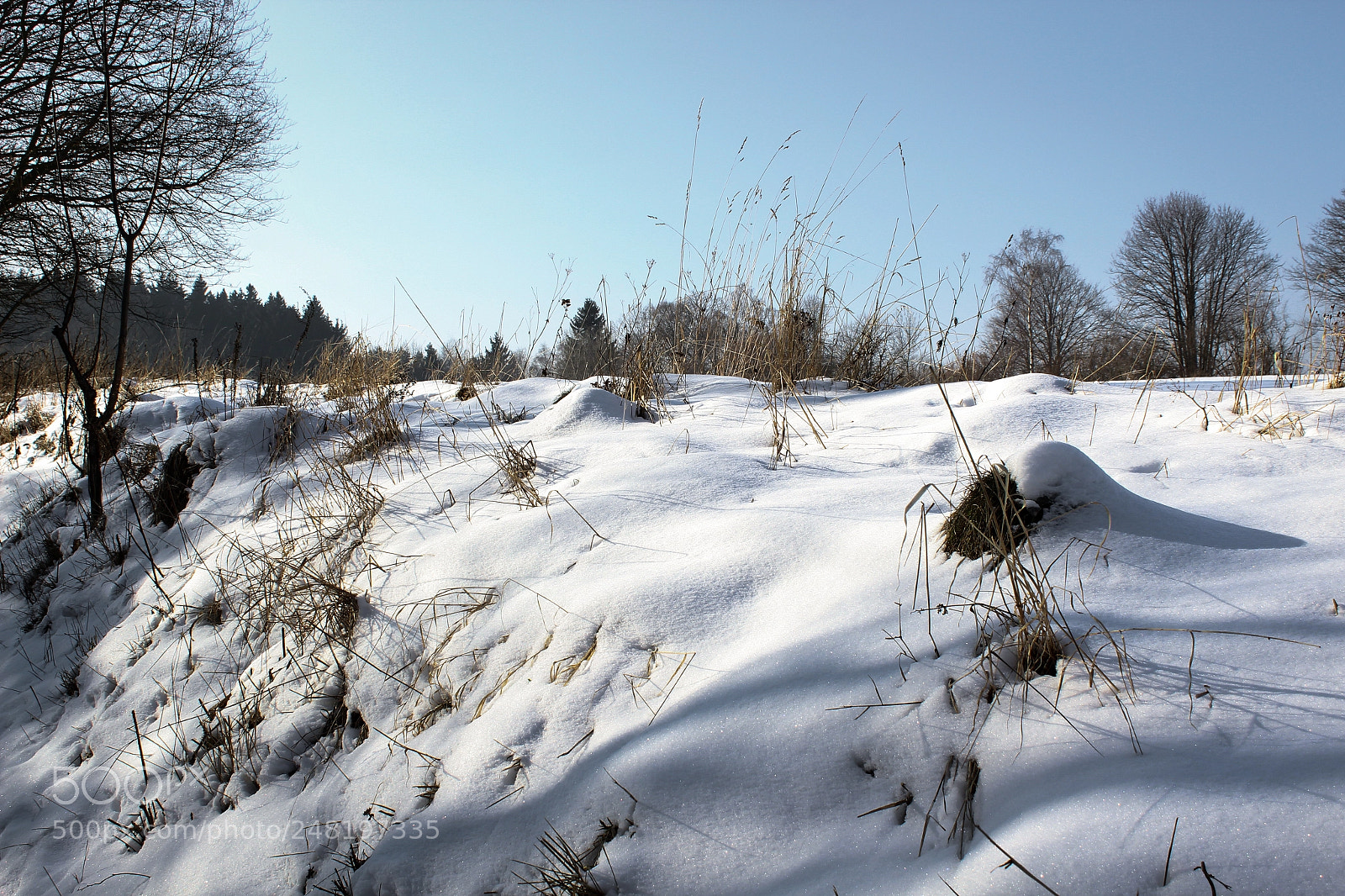 Canon EOS 1300D (EOS Rebel T6 / EOS Kiss X80) sample photo. Winter time photography