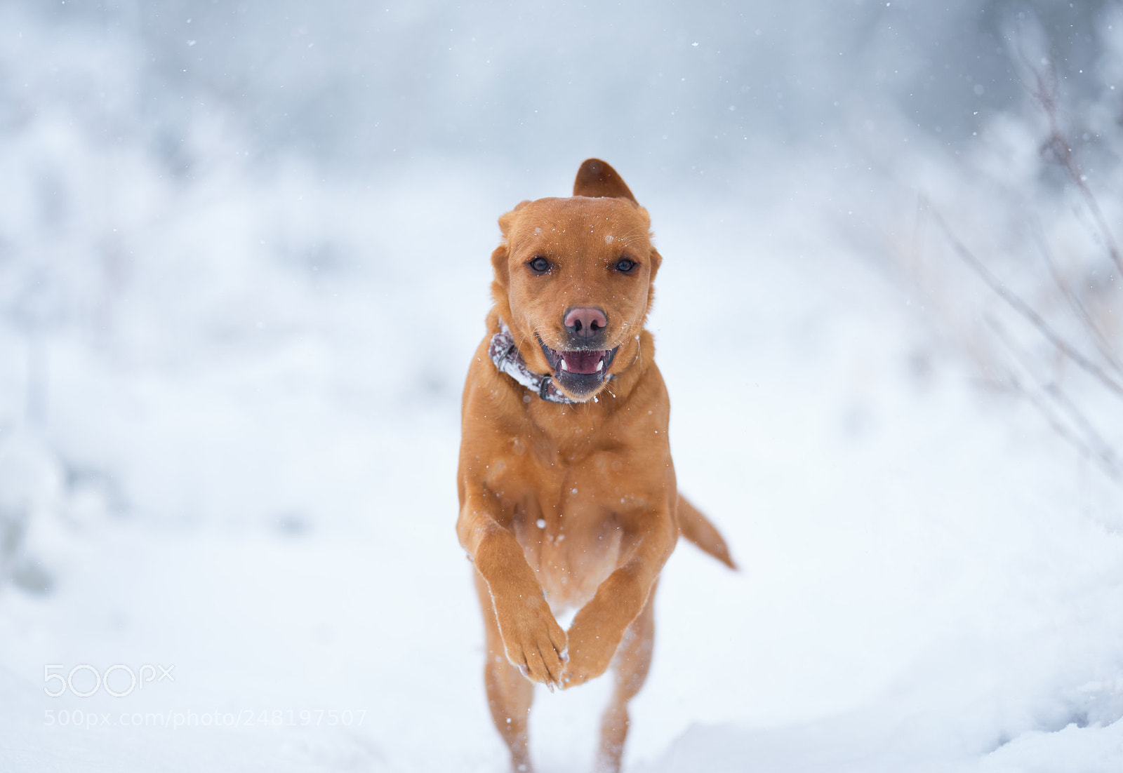 Nikon D850 sample photo. 'freeze frame' photography