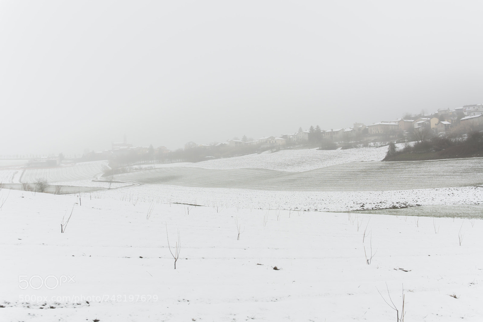 Nikon D7100 sample photo. Snow and fog photography