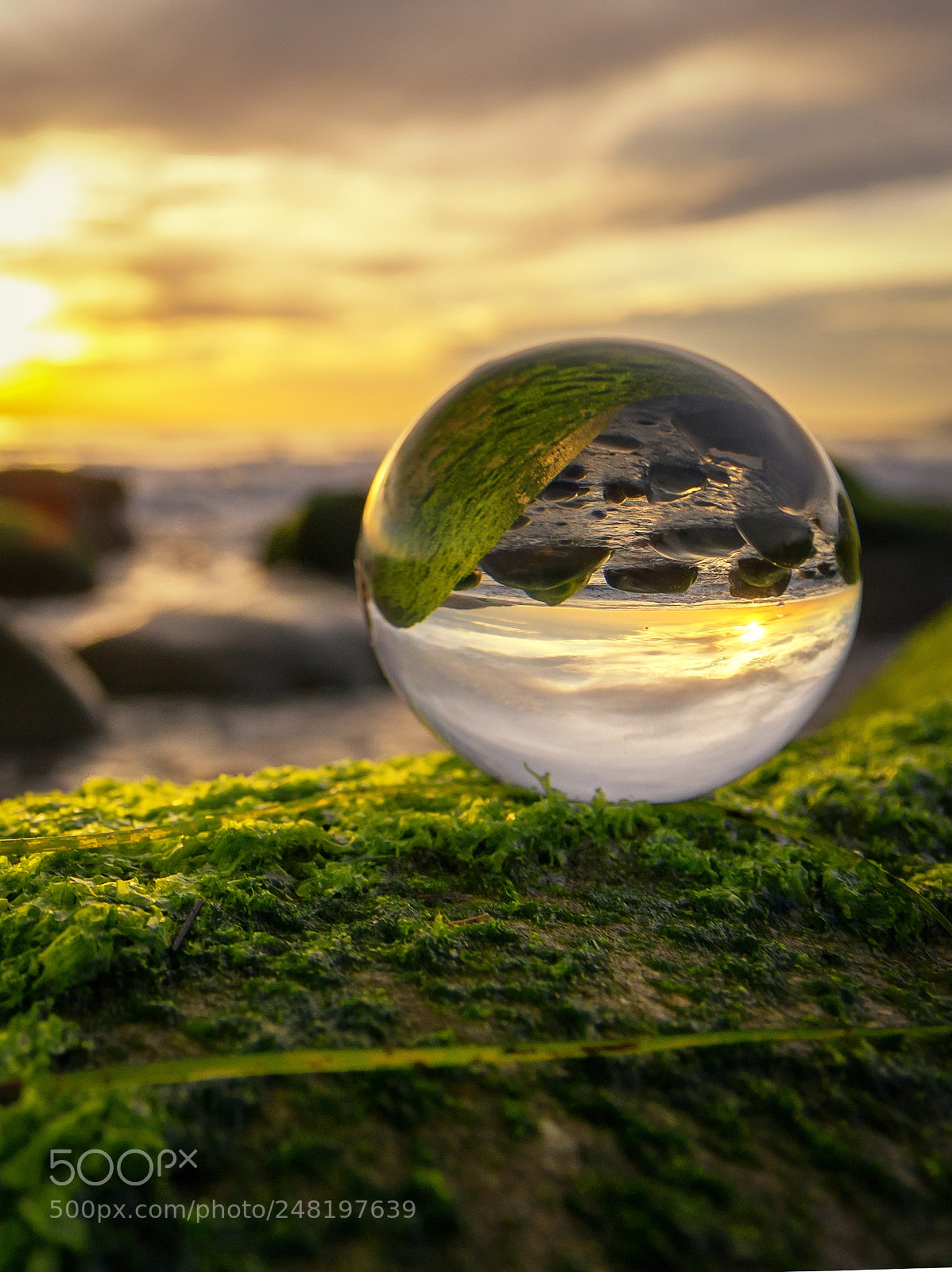 Samsung NX300 sample photo. A crystal ball adds photography