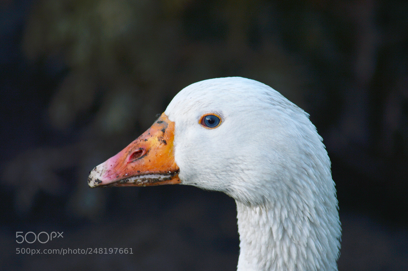 Nikon D3200 sample photo. Untitled photography