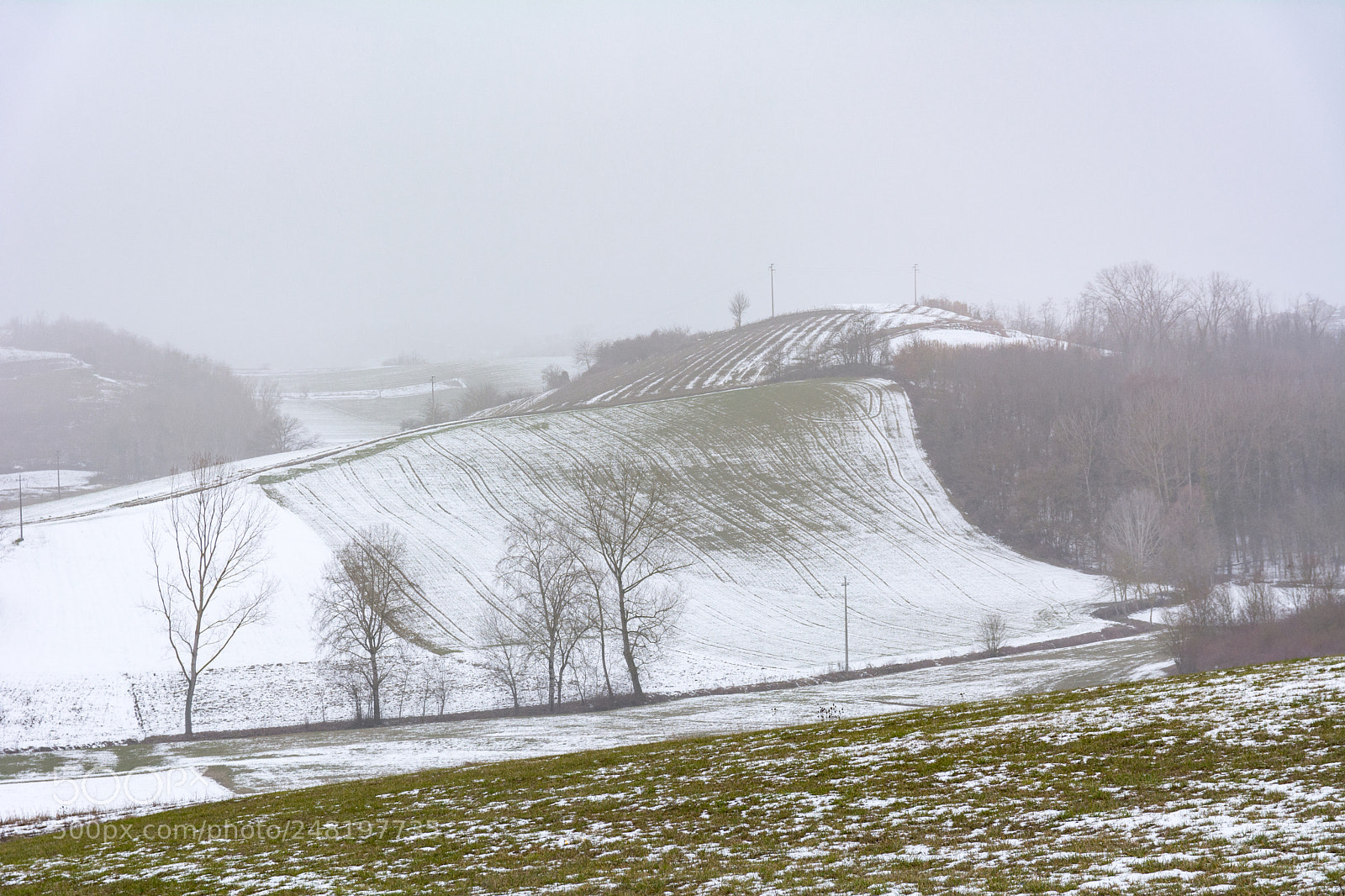 Nikon D7100 sample photo. Snow and fog 2 photography