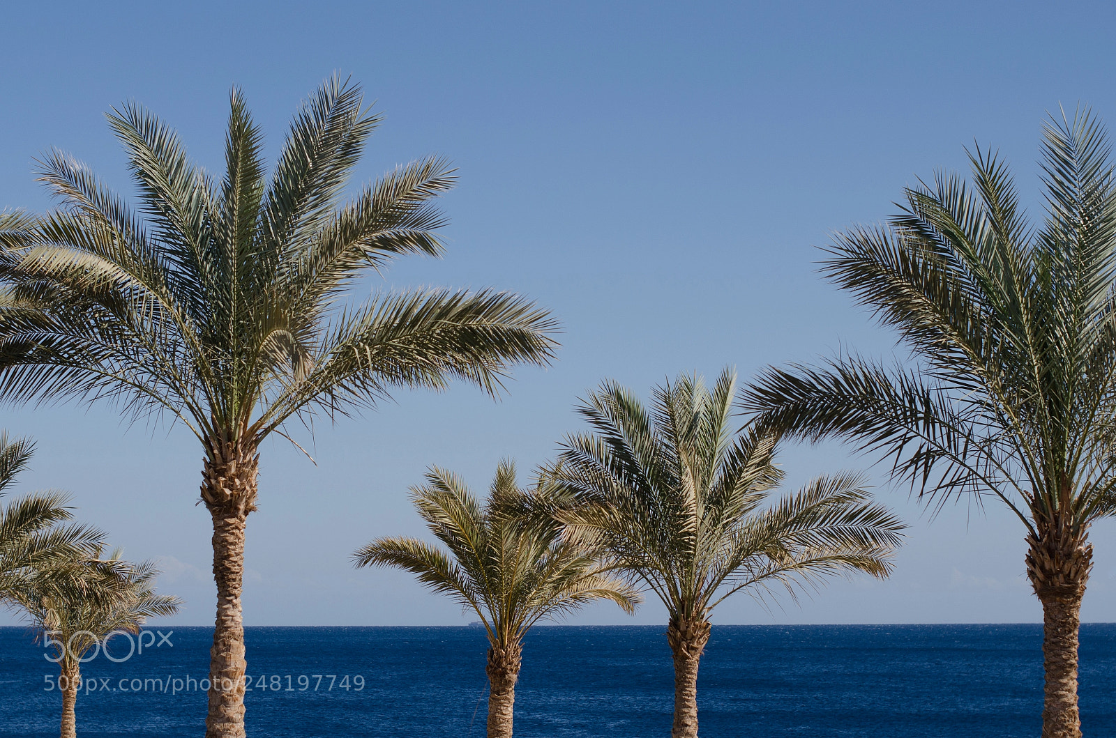 Nikon D5100 sample photo. Egypt photography