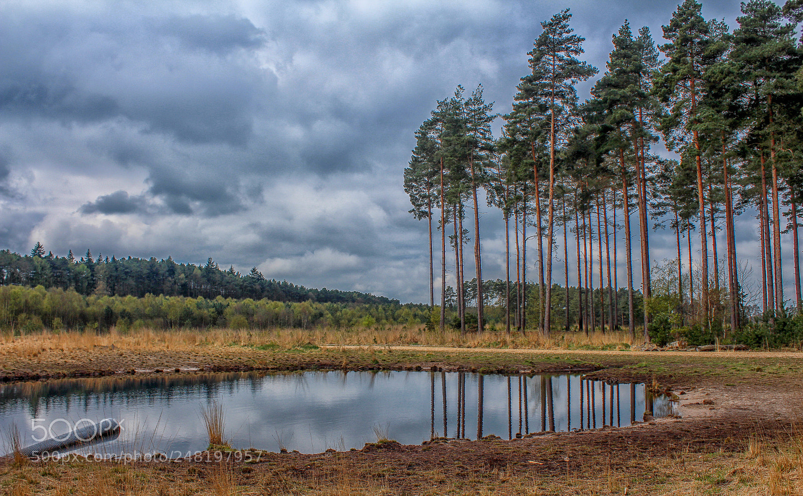 Canon EOS 650D (EOS Rebel T4i / EOS Kiss X6i) sample photo. Crowthorne wood pond photography