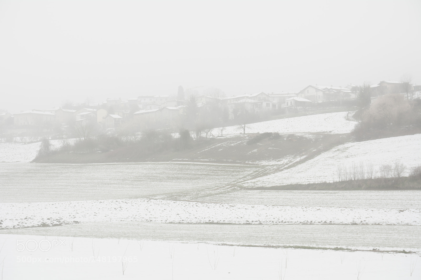 Nikon D7100 sample photo. Snow and fog 3 photography