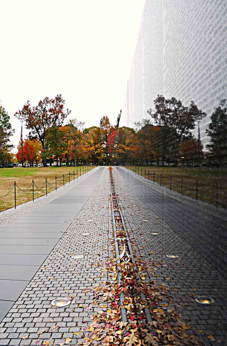 Nikon D200 sample photo. A photography