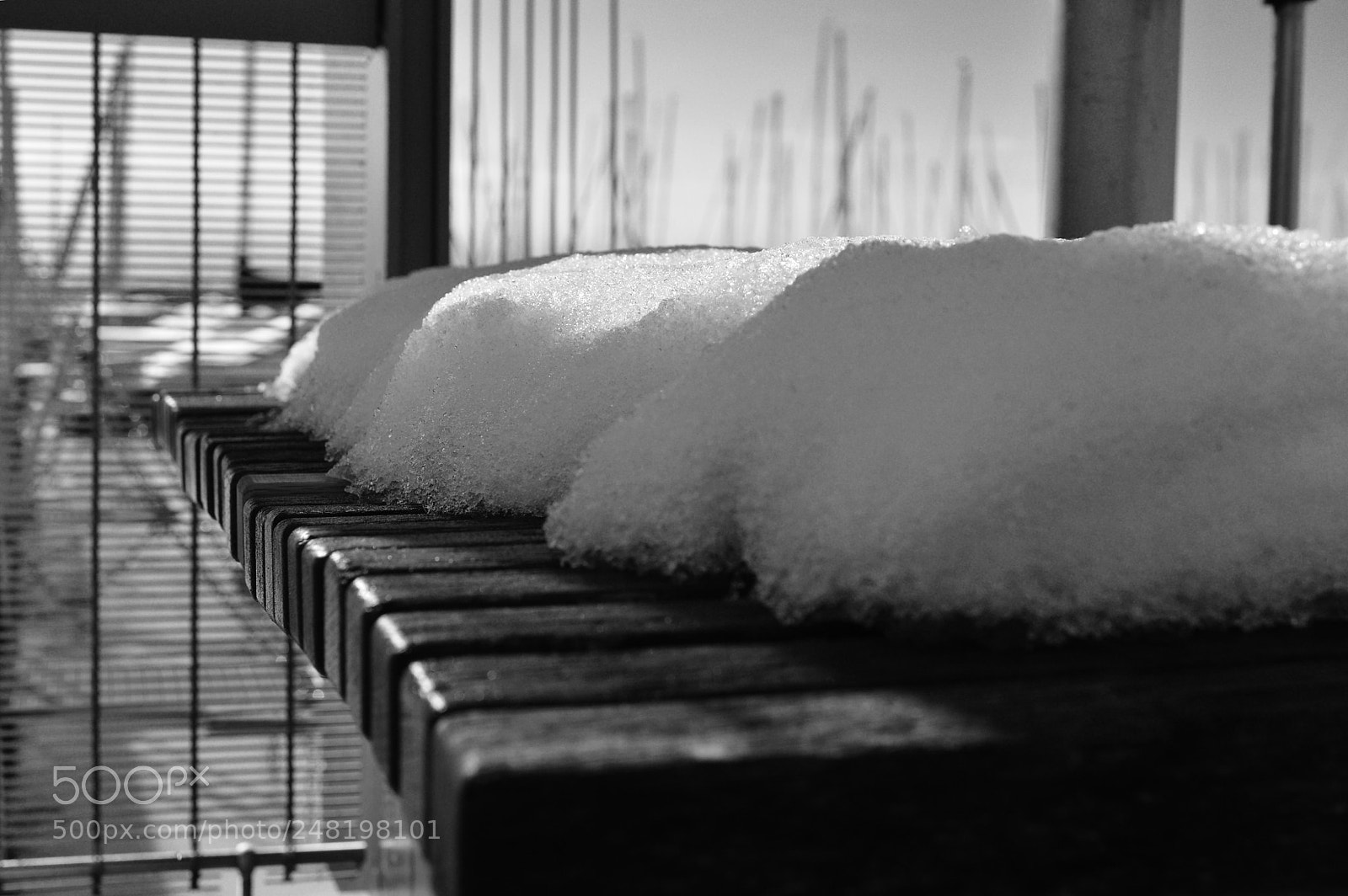 Nikon D3200 sample photo. Snow and lines photography