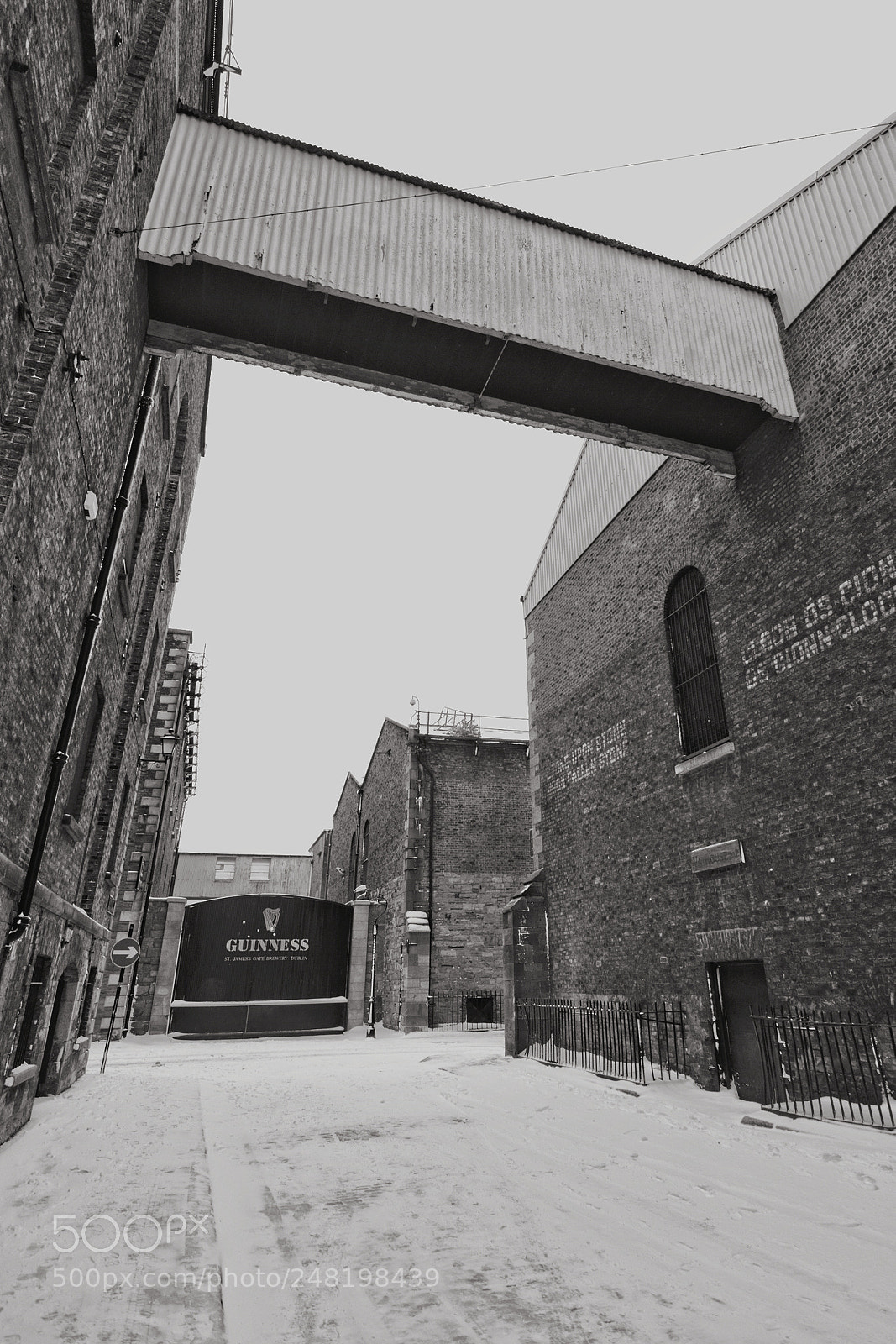 Canon EOS 80D sample photo. Guinness brewery in the photography