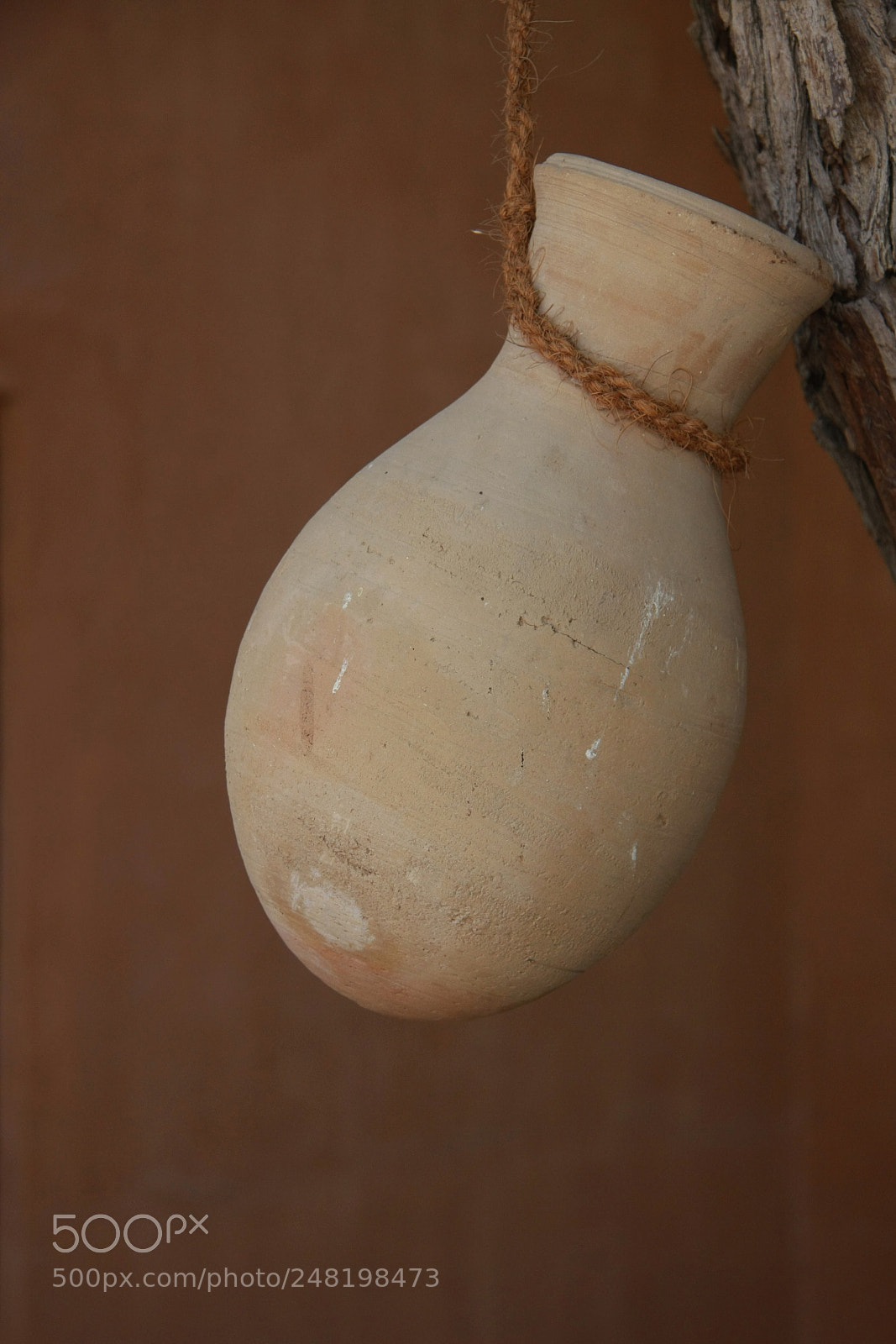 Canon EOS 40D sample photo. Pot photography