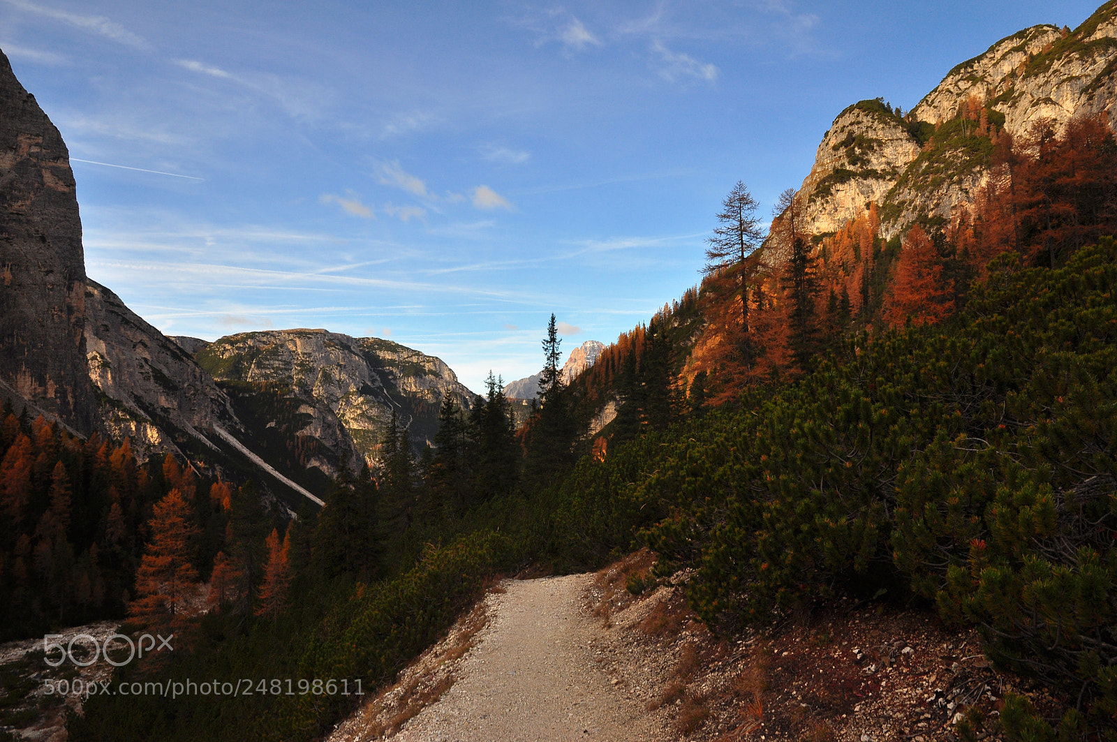 Nikon D90 sample photo. Mountain road photography