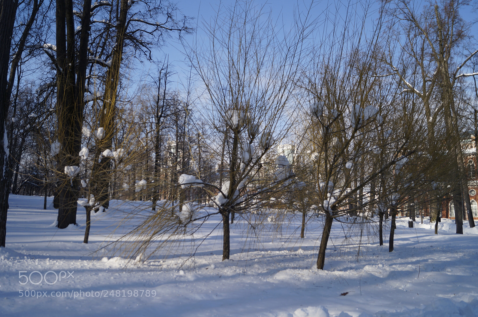 Sony SLT-A57 sample photo. Untitled photography