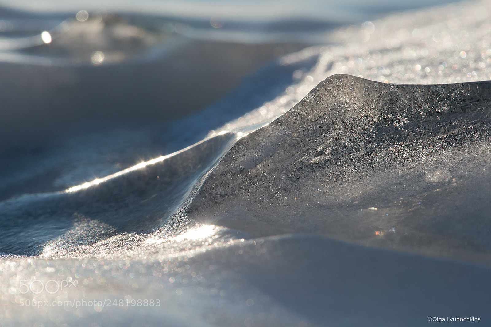 Nikon D800 sample photo. Piece of ice like photography