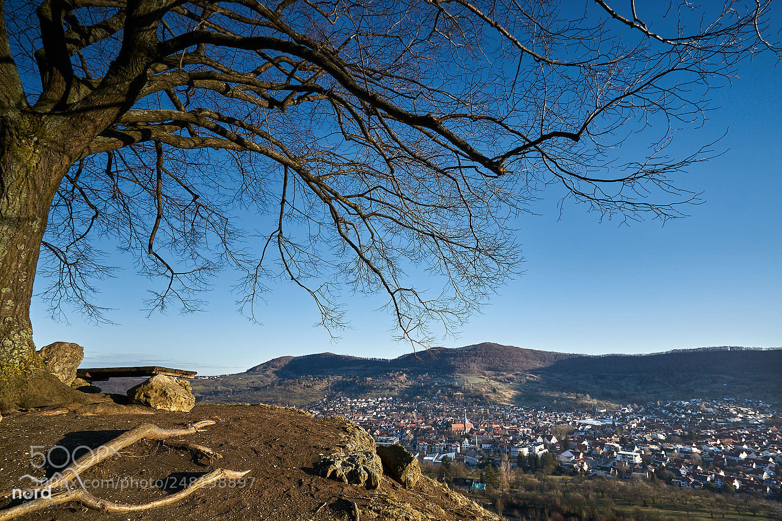 Sony ILCA-77M2 sample photo. Calverbühl am morgen photography