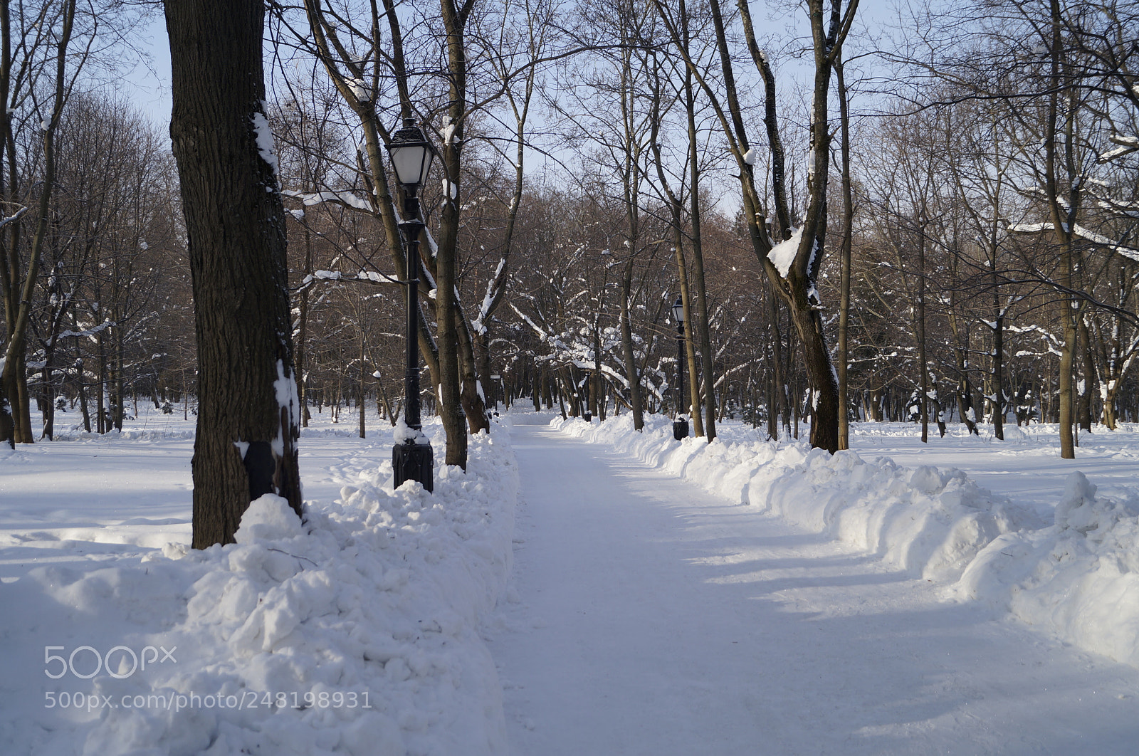 Sony SLT-A57 sample photo. Untitled photography